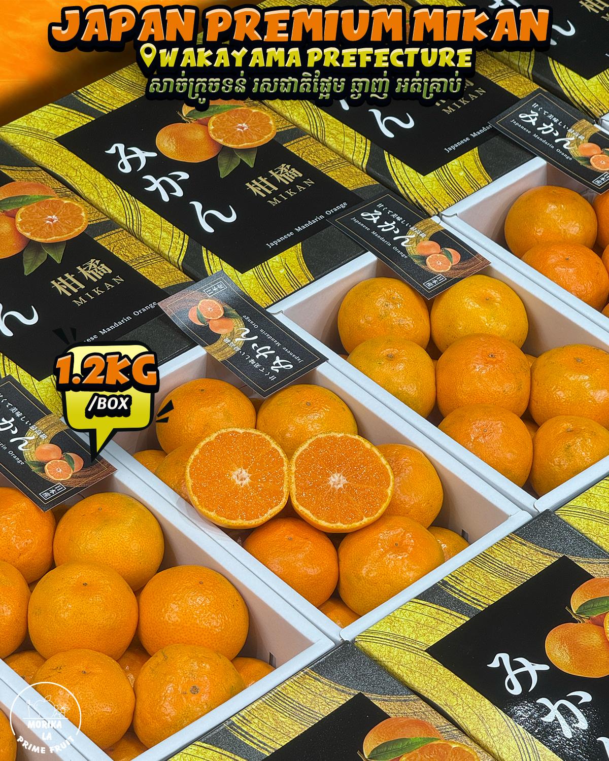 Japan Mikan Gift Box 1.2kg 