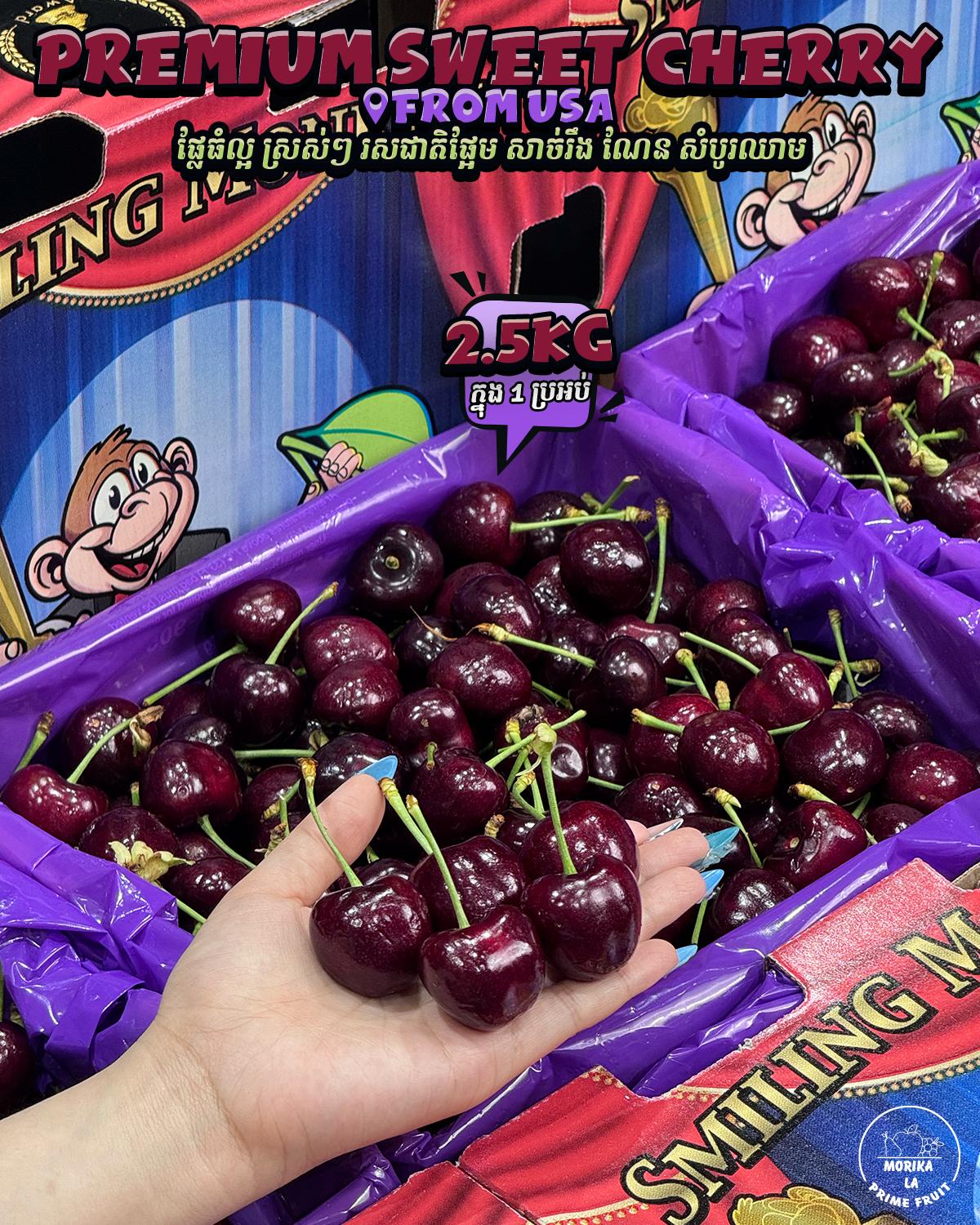 Premium Sweet Cherry 🍒 