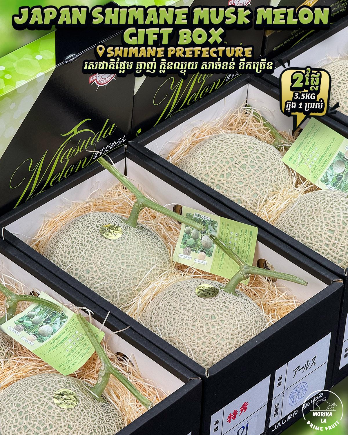Japan Shimane Musk Melon 2pcs Gift Box 🍈 