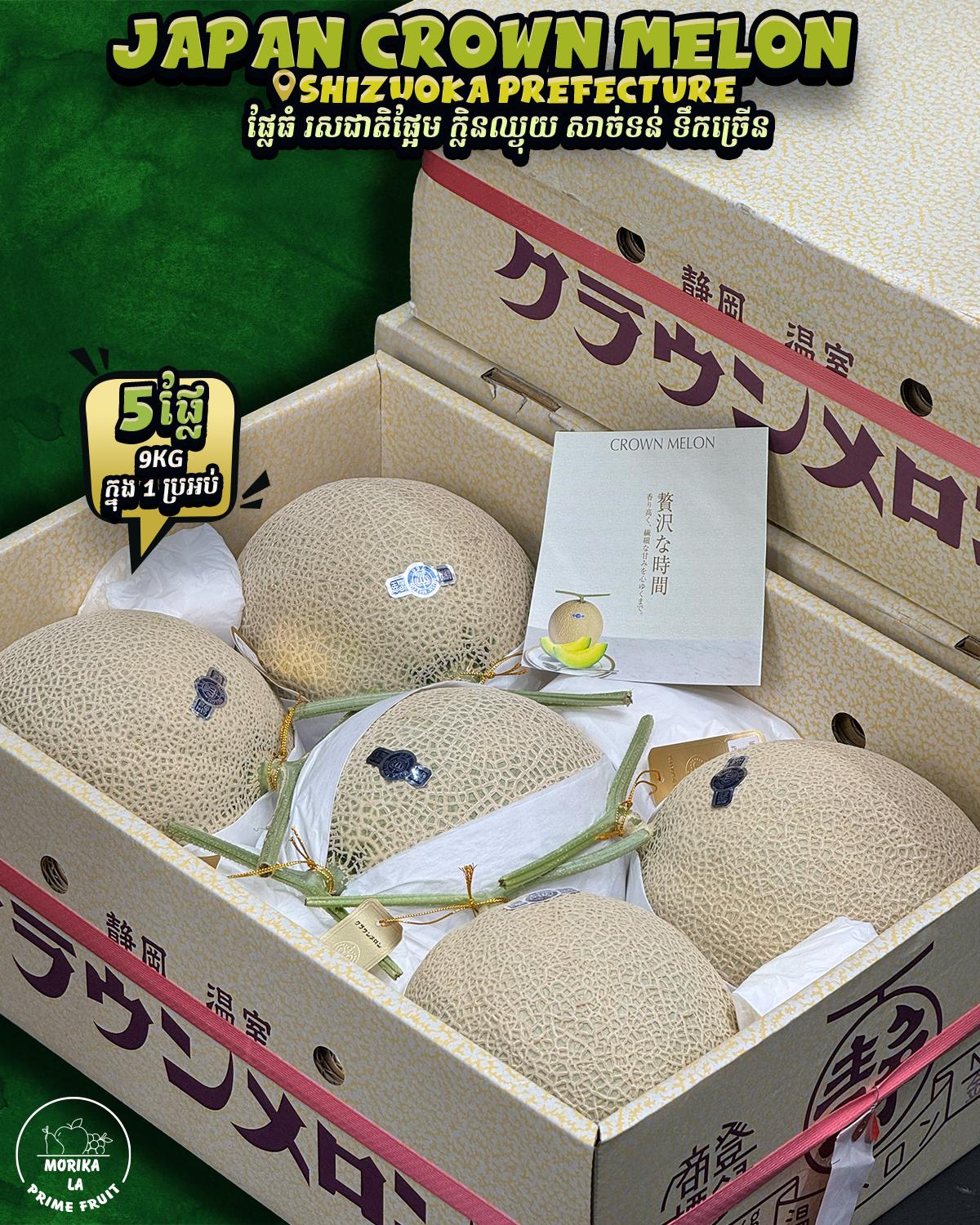 Japan Crown Melon #5 