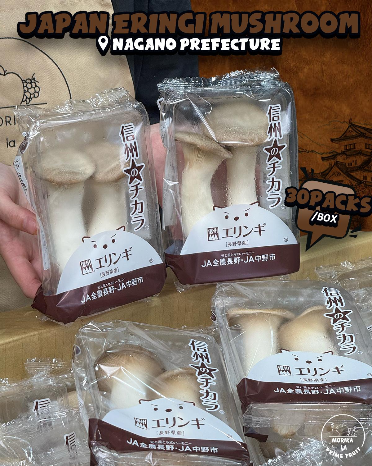 Japan Mushroom Eringi 