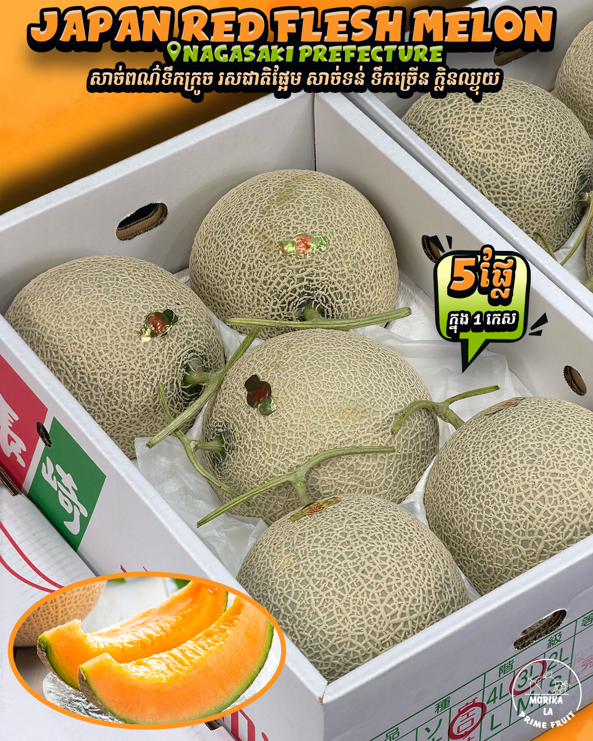 Japan Red Flesh Melon #5 🍈