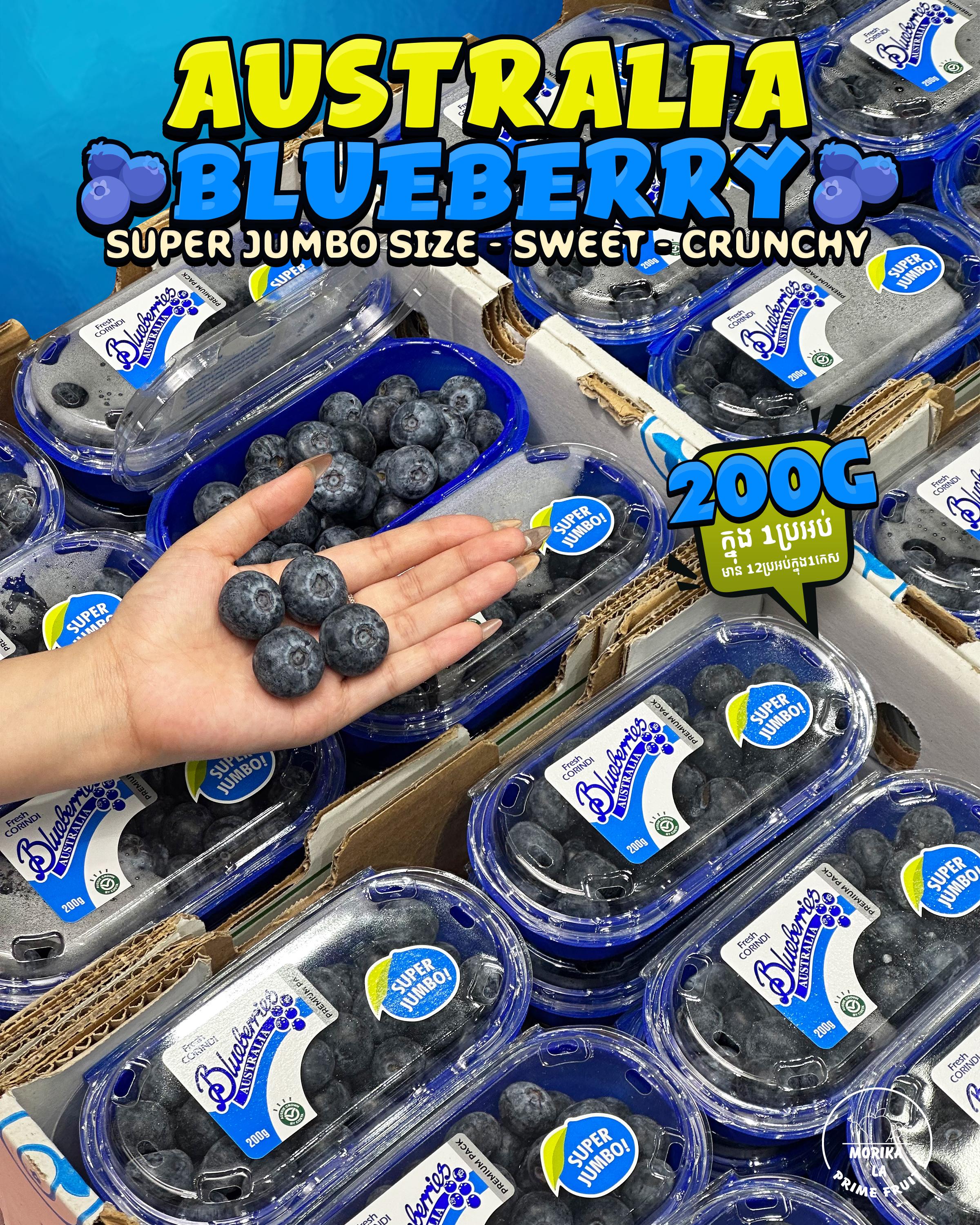 Australia Jumbo Blueberry