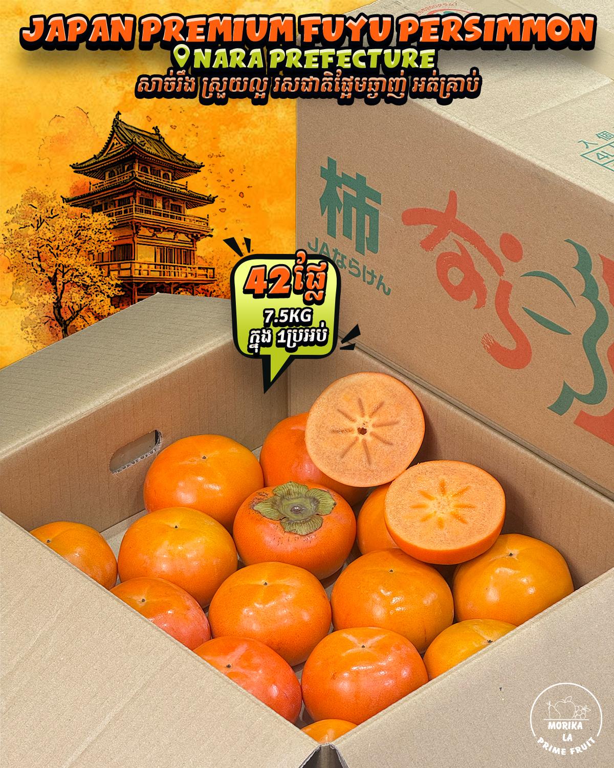 Japan Persimmon Fuyu #42