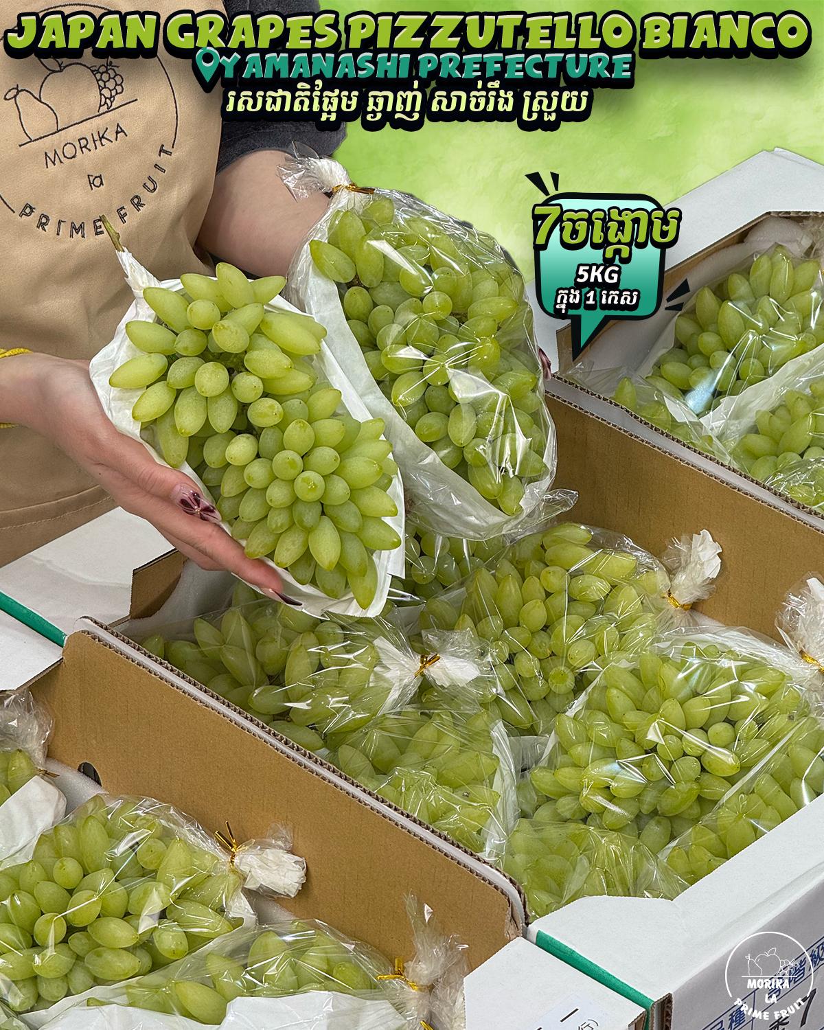 Japan Grapes Pizzutello Bianco #7 