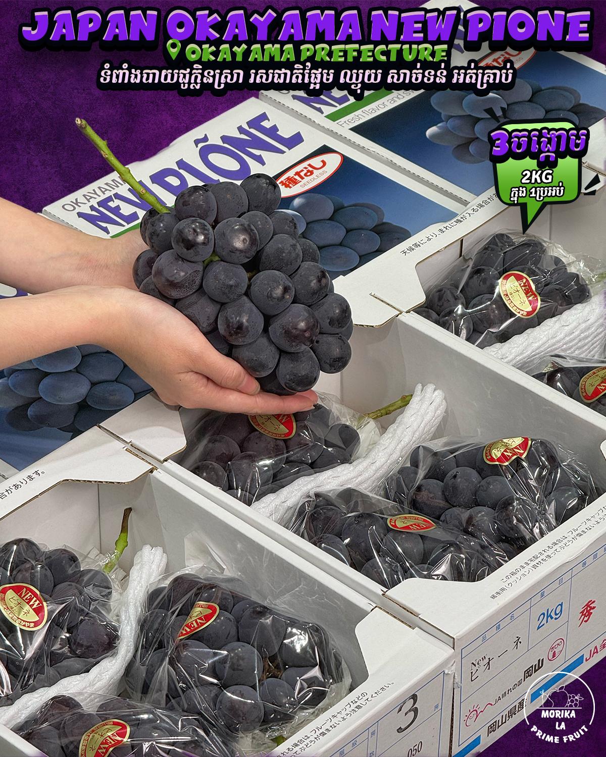 Japan Okayama New Pione Grape #3 2kg Gift Box🍇