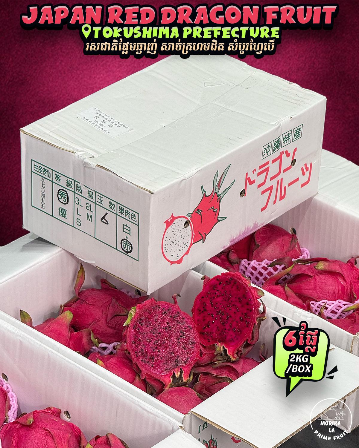 Japan Dragon Fruit 