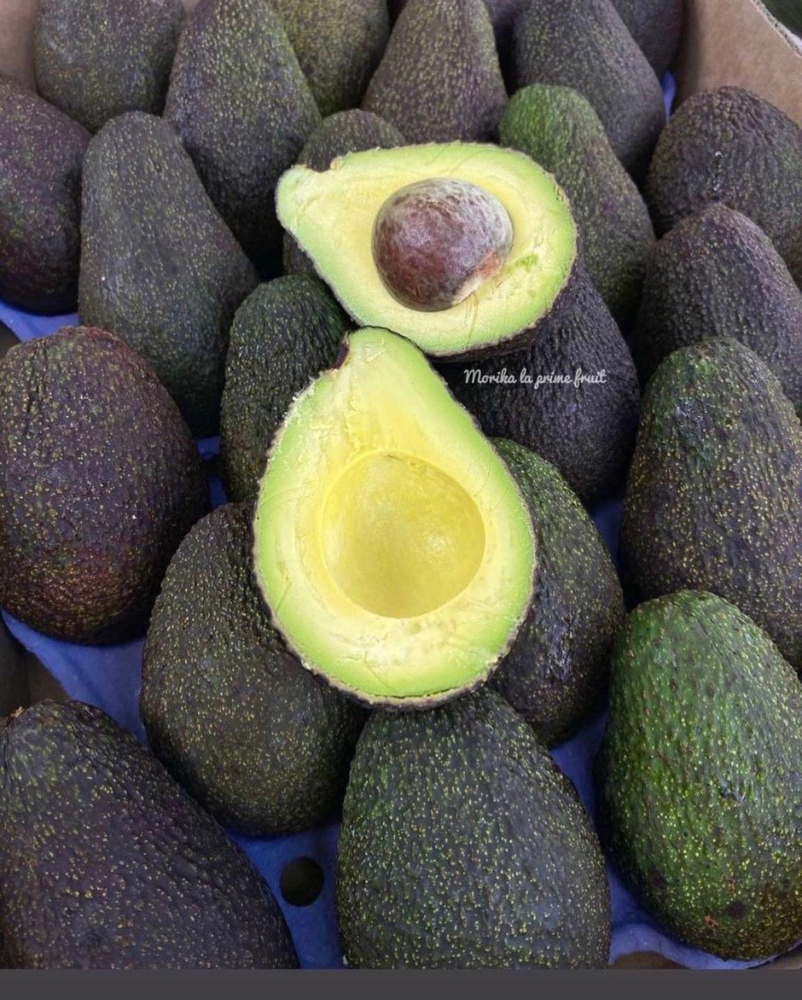 Avocado 🥑 