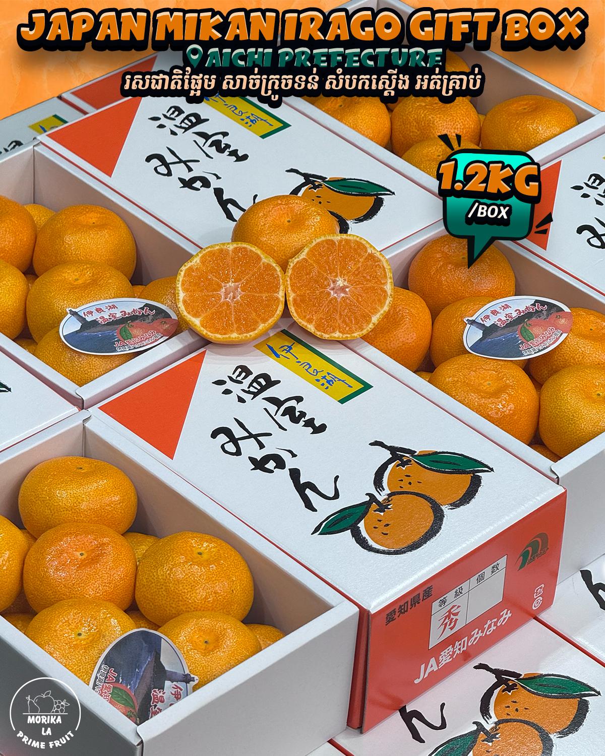 Japan Mikan Irago Gift Box 1.2 kg Gift Box 