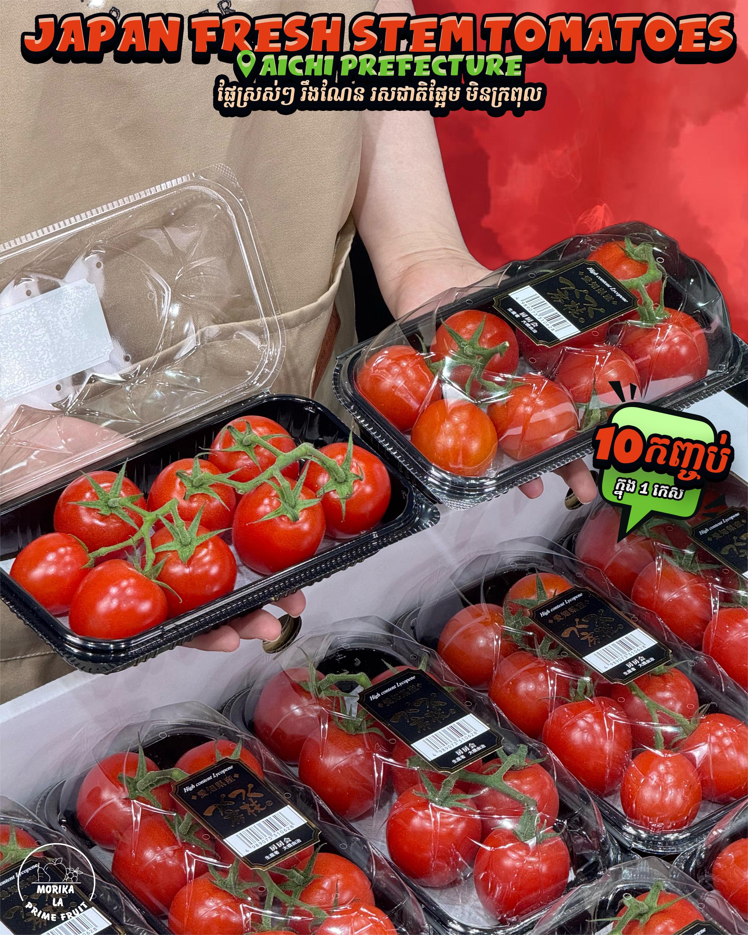 Japan Tomatoes With Stem 🍅