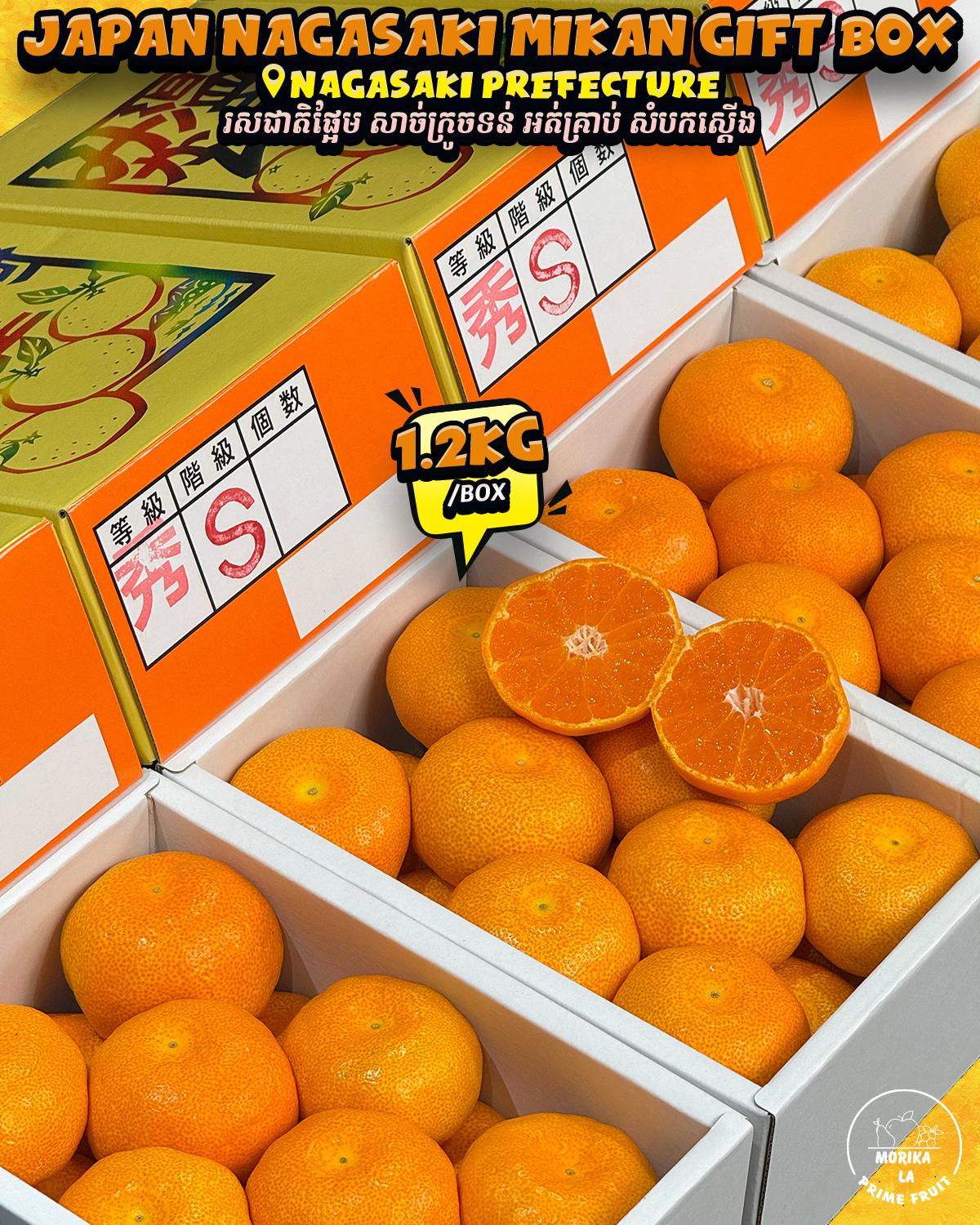 Japan Nagasaki Mikan 1.2kg Gift Box 🍊