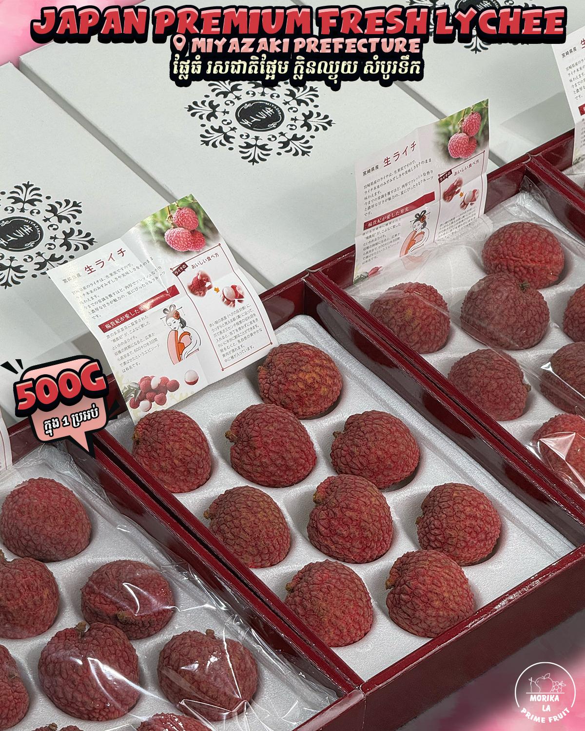 Japan Premium Miyazaki Lychee Gift Box 