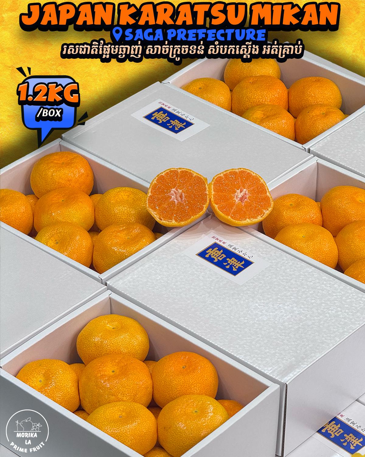 Japan Mikan Karatsu Gift Box 1.2kg 