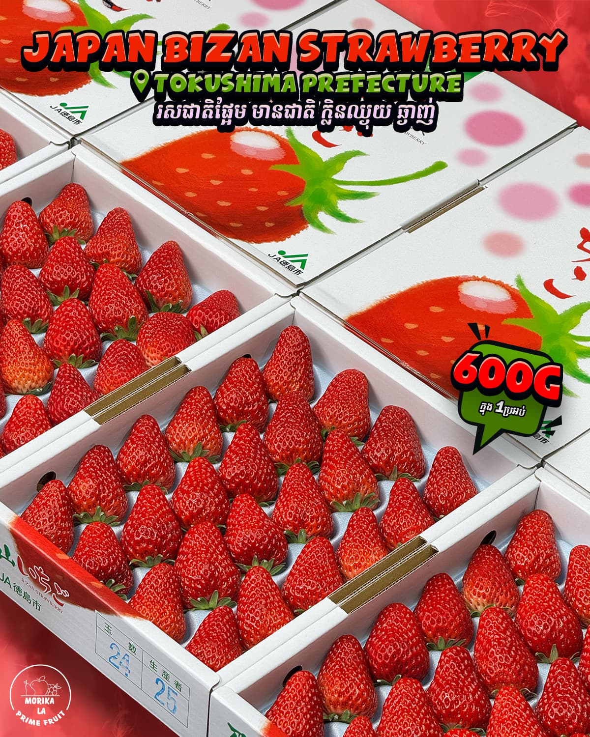 Japan Bizan Strawberry Gift Box 🍓