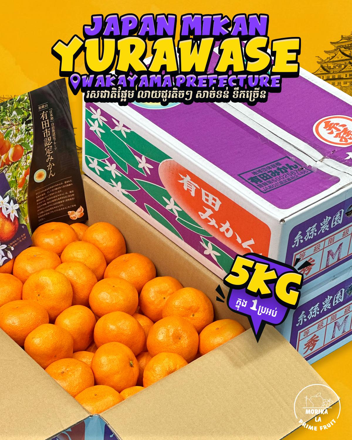 Japan Mikan Yurawasw 5kg 