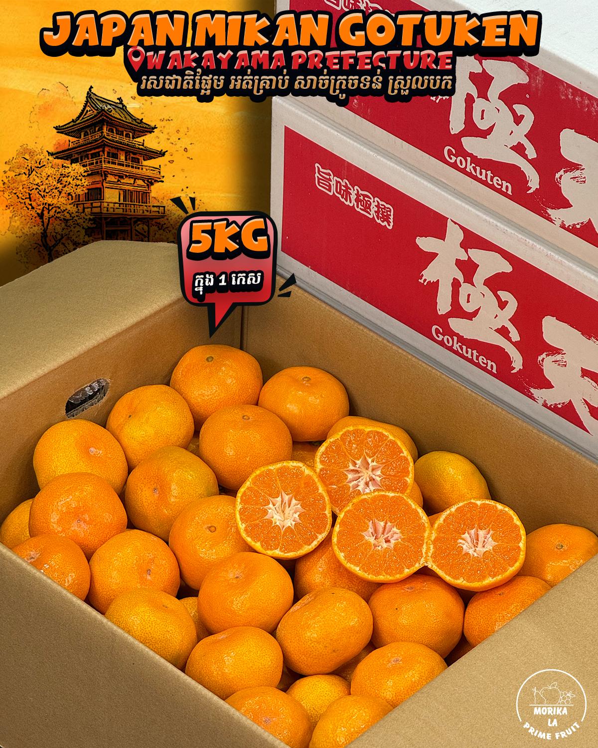 Japan Mikan Gotuken 