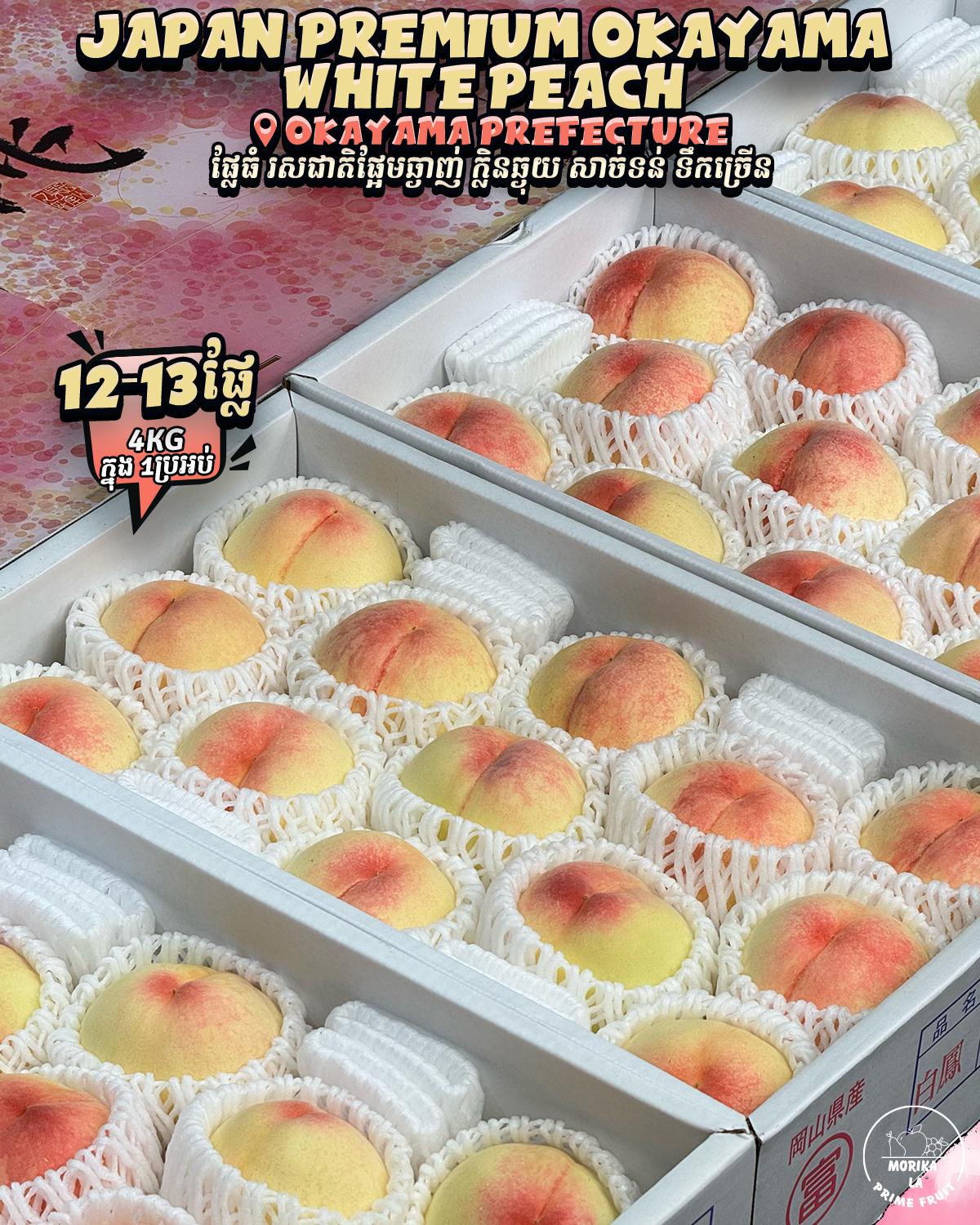 Japan Premium Okayama White Peach 4kg 🍑 