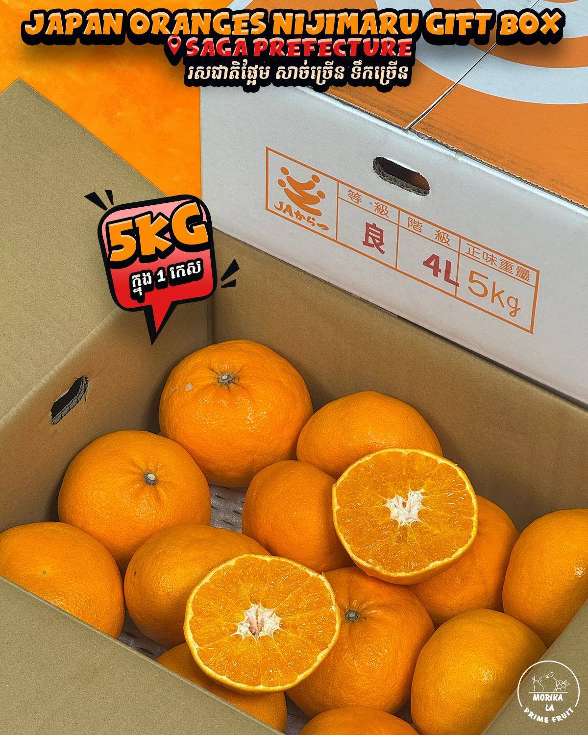 Japan Mikan Mikyan Gift Box 🍊