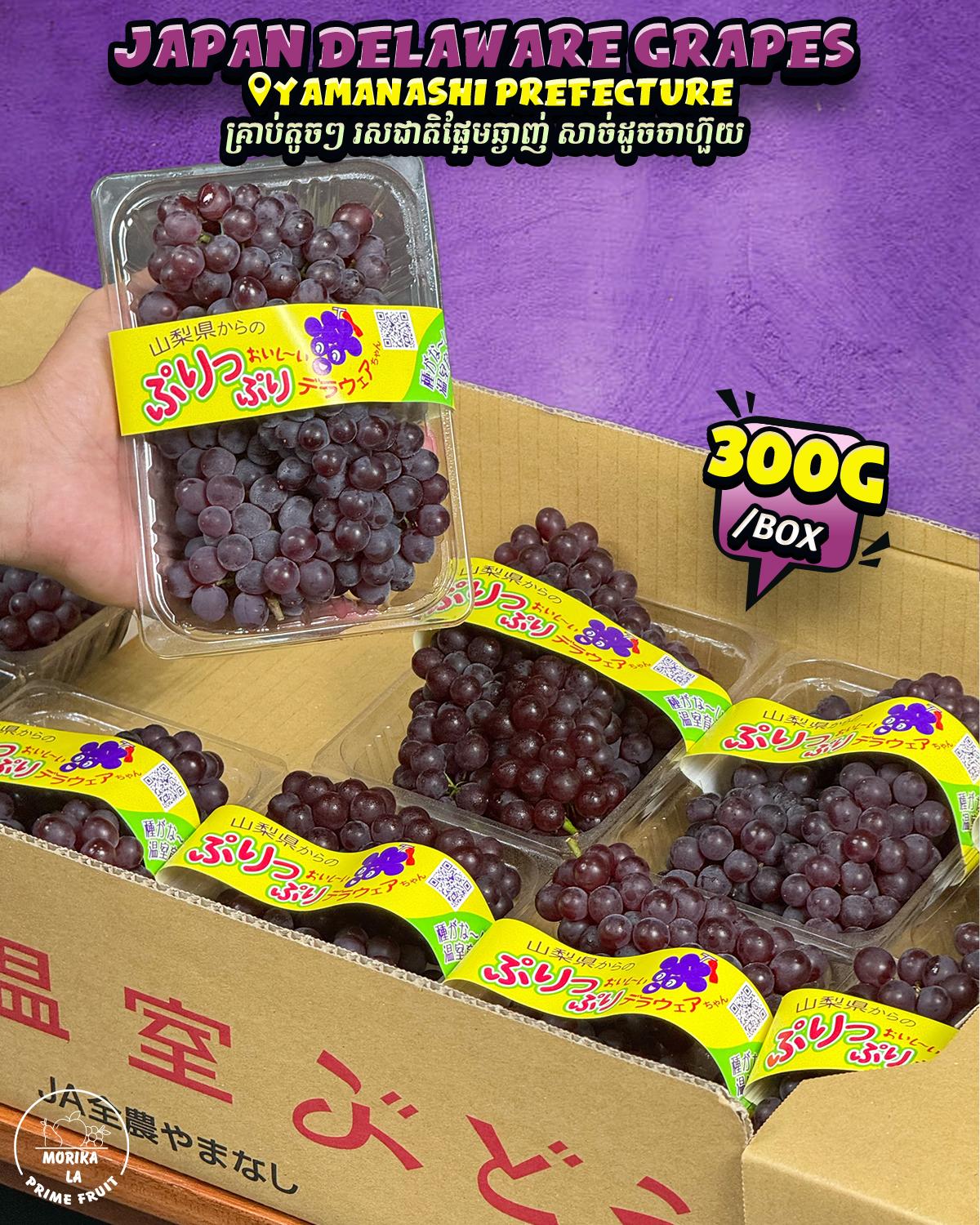 Japan Delaware Grapes Pack 