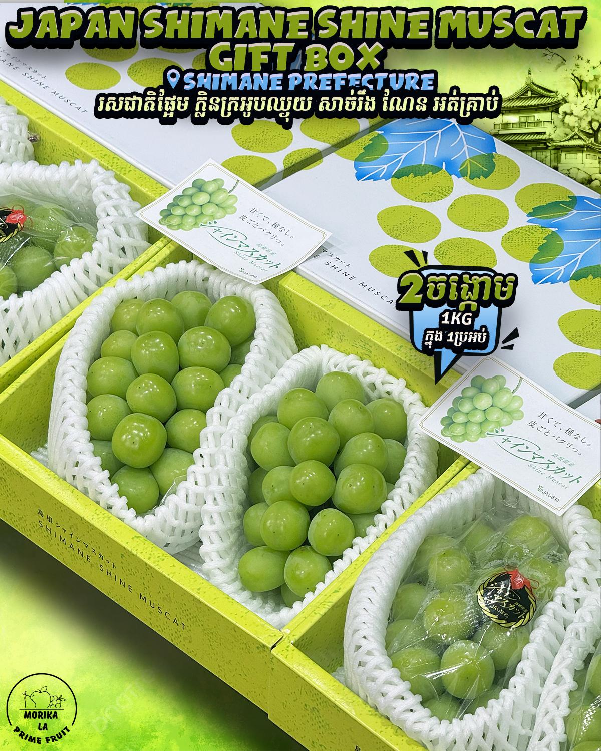 Japan Shine Muscat Shimane 1kg Gift Box 