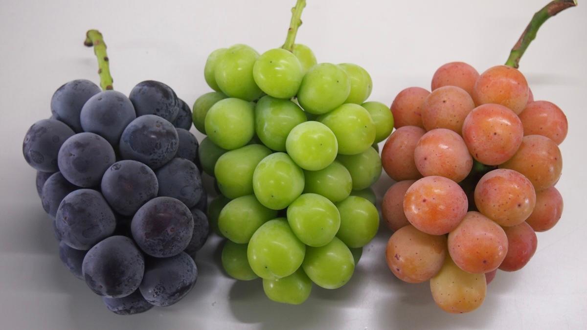 Japan Grape Season