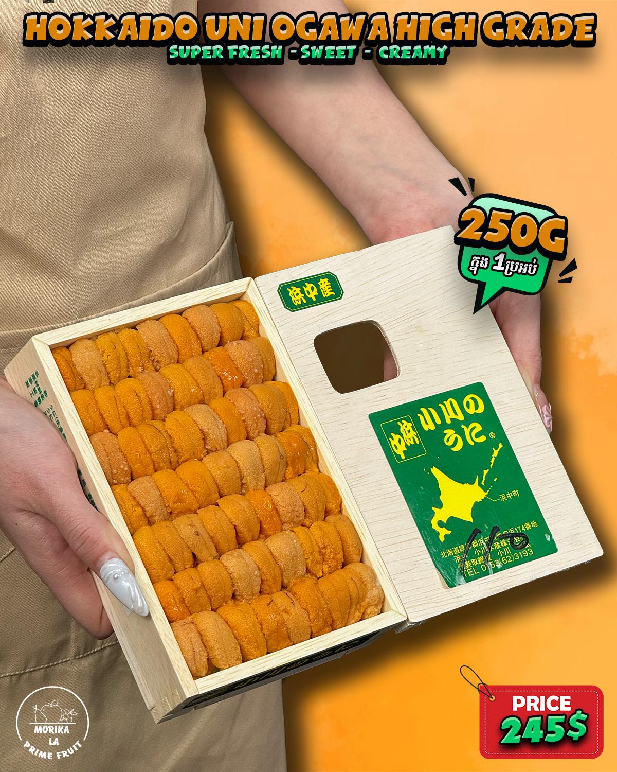 Hokkaido Uni Ogawa High Grade 