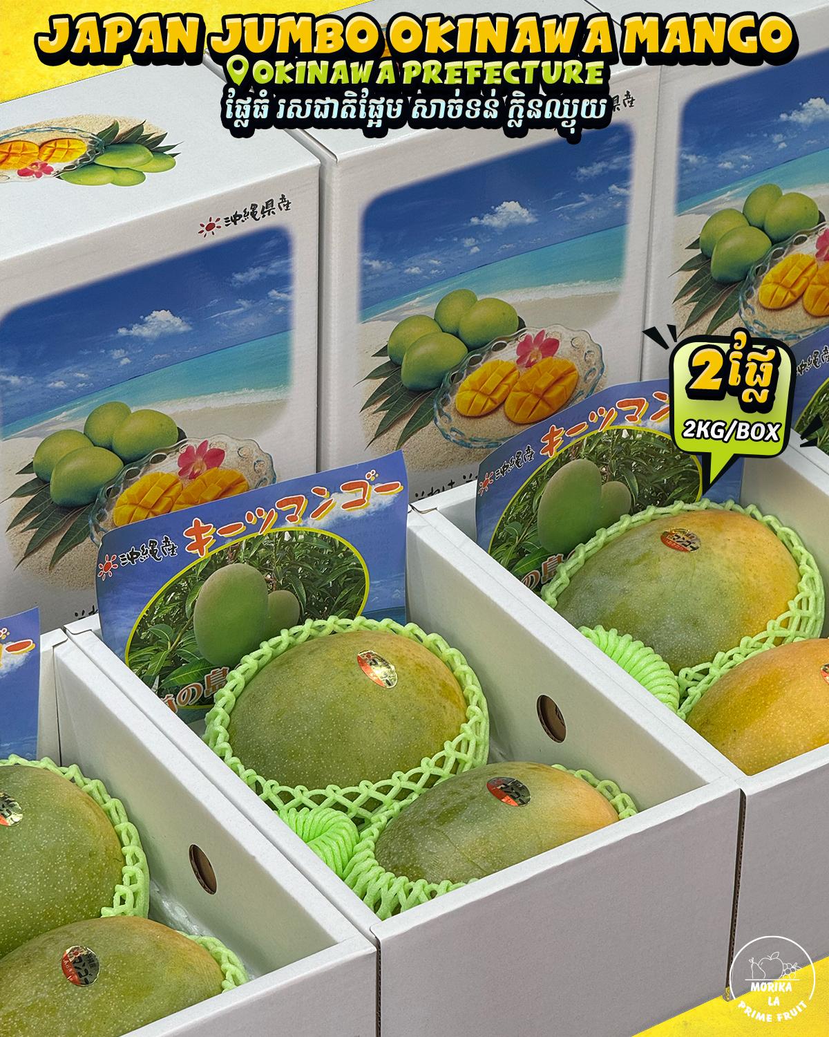 Japan Jumbo Mango Okinawa 2pcs Gift Box🥭