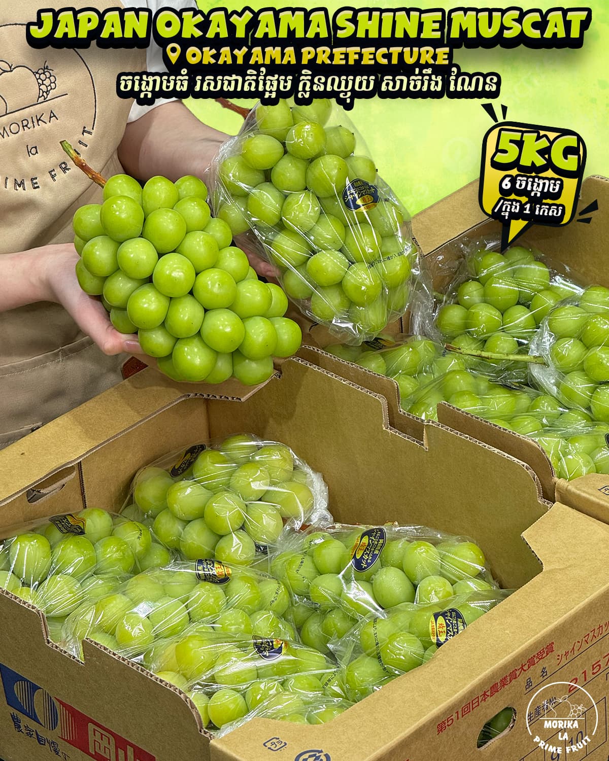 Japan Okayama Shine Muscat #6