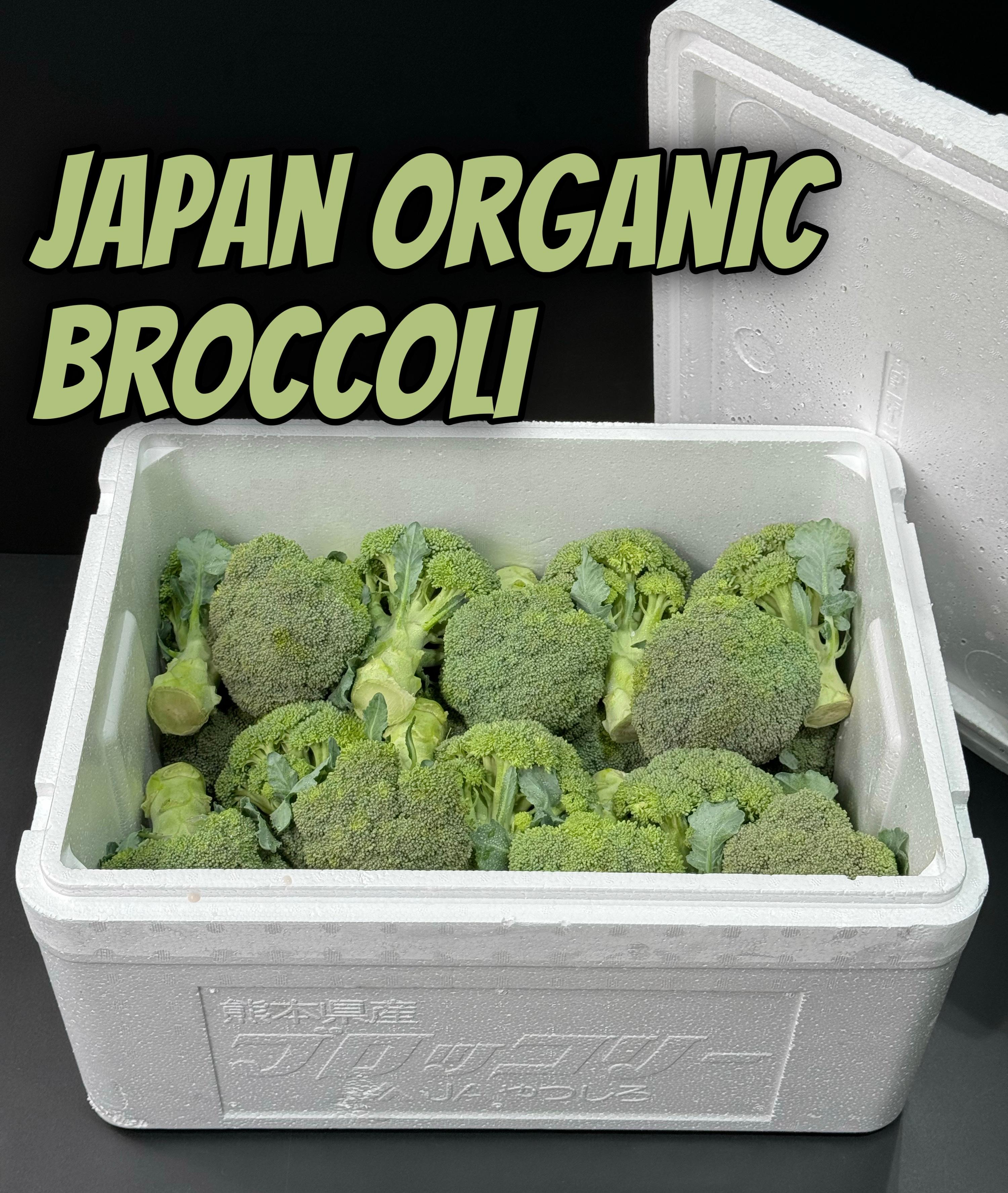 Japan Broccoli 