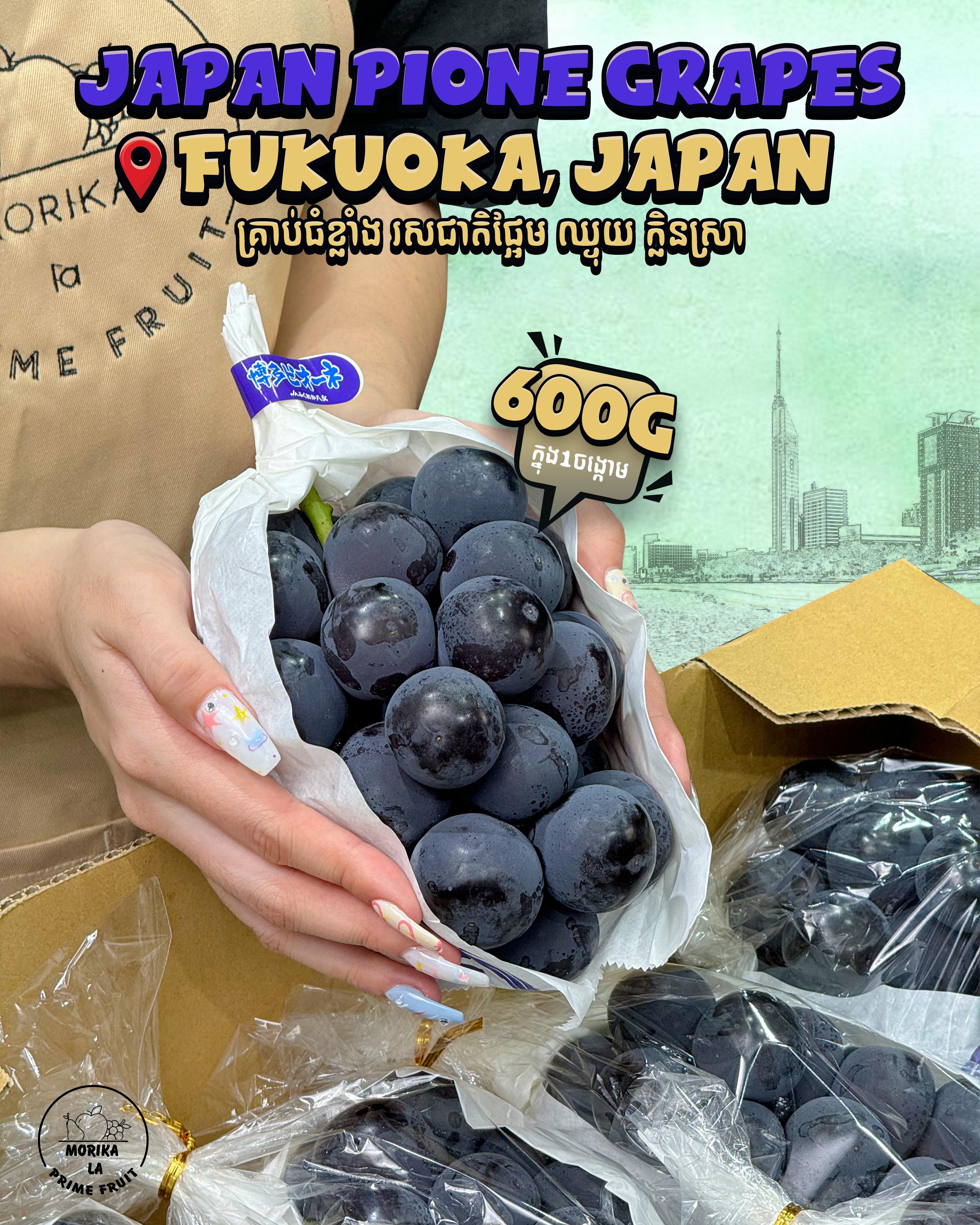 Japan Pione Okayama #7 🍇 