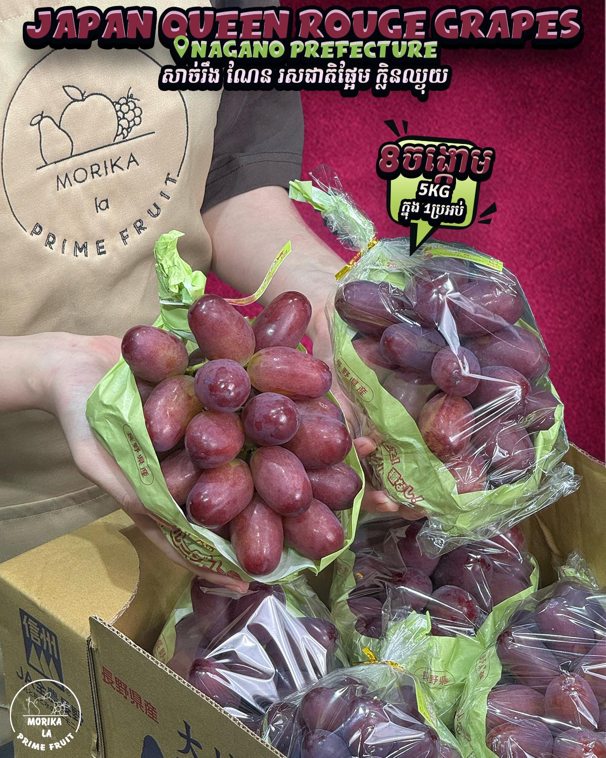 Japan Grapes Queen Rouge #8