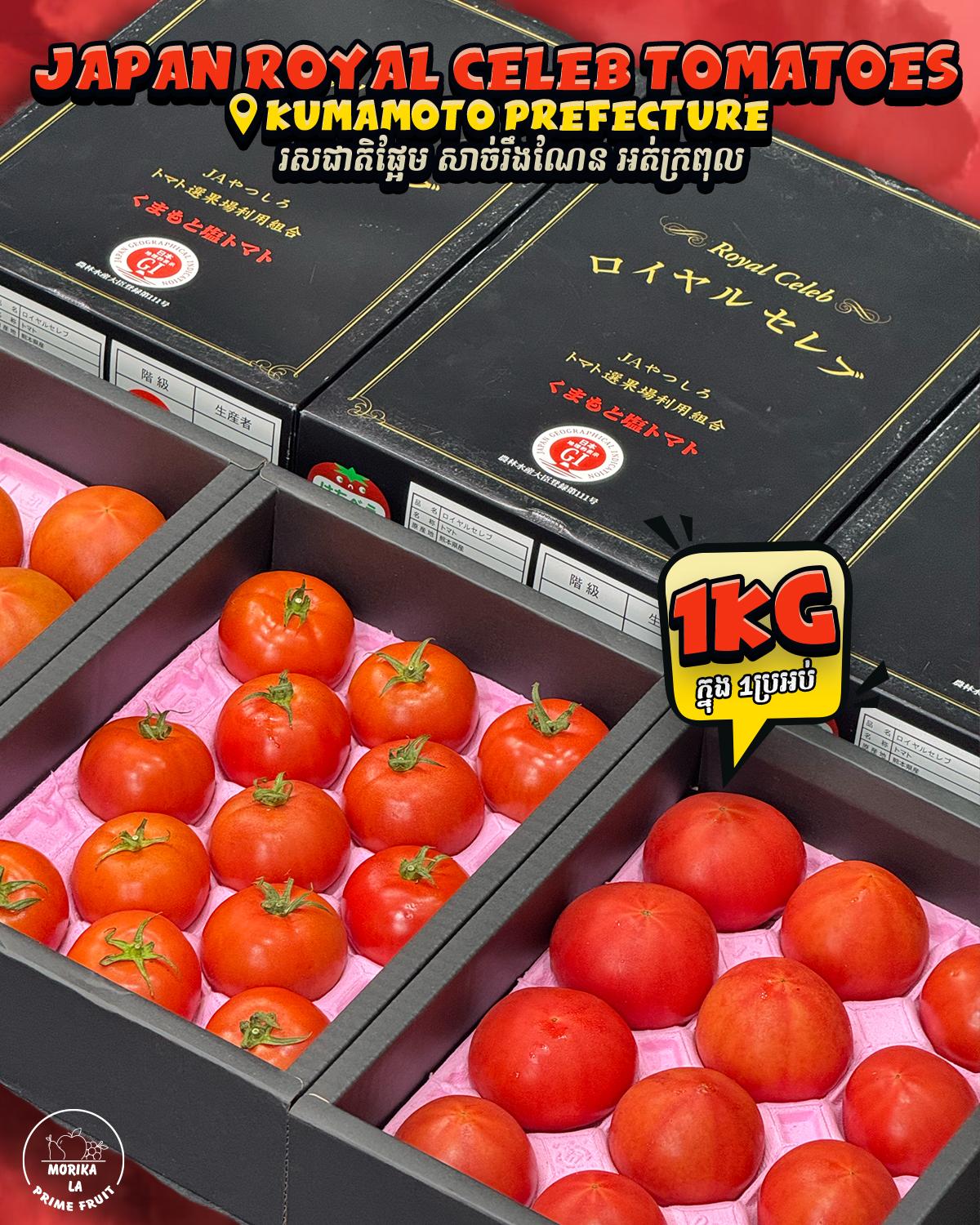 Japan Tomatoes Royal Celeb 🍅🇯🇵✨