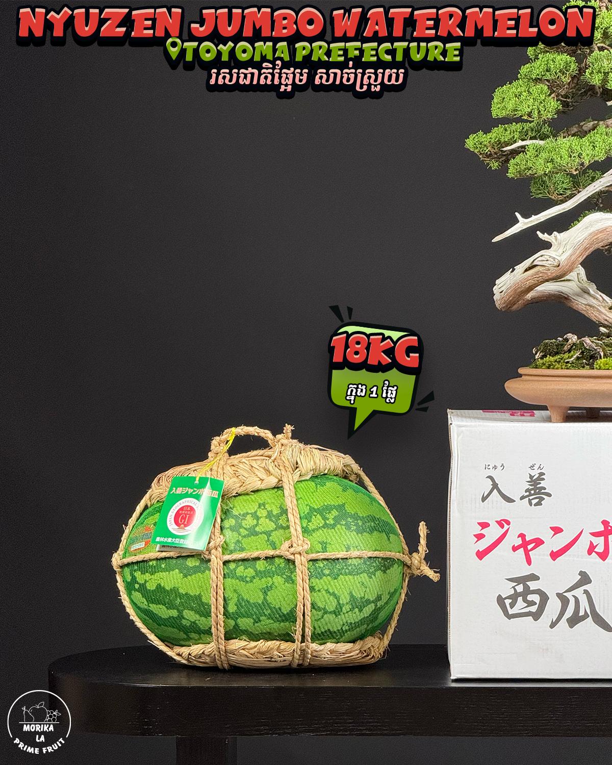 Japan Nyuzen Jumbo Watermelon 18kg 🍉 