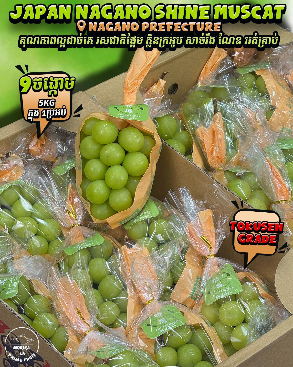 Japan Nagano Shine Muscat ( Tokusen Grade ) #9 