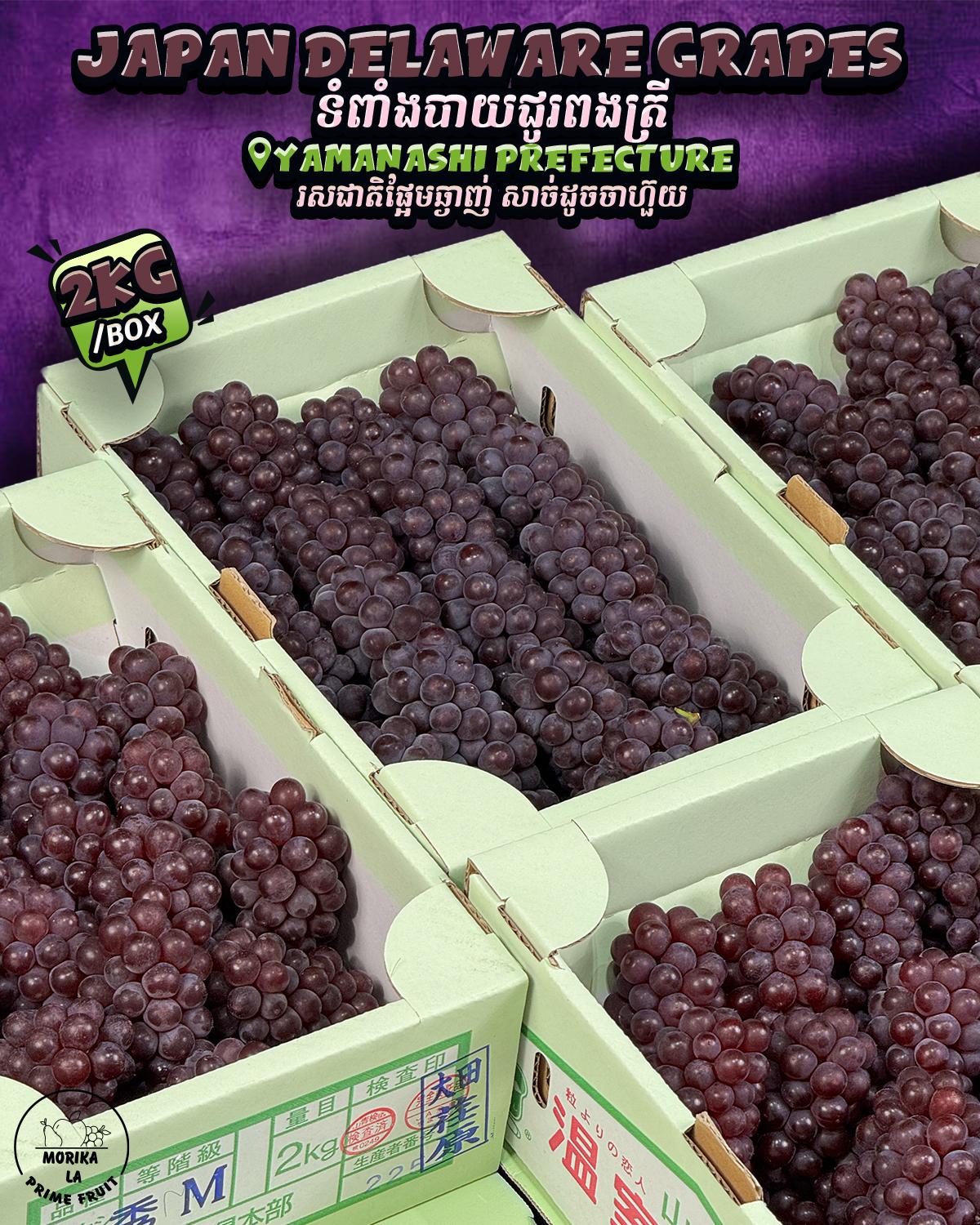 Japan Delaware Grapes 🍇 