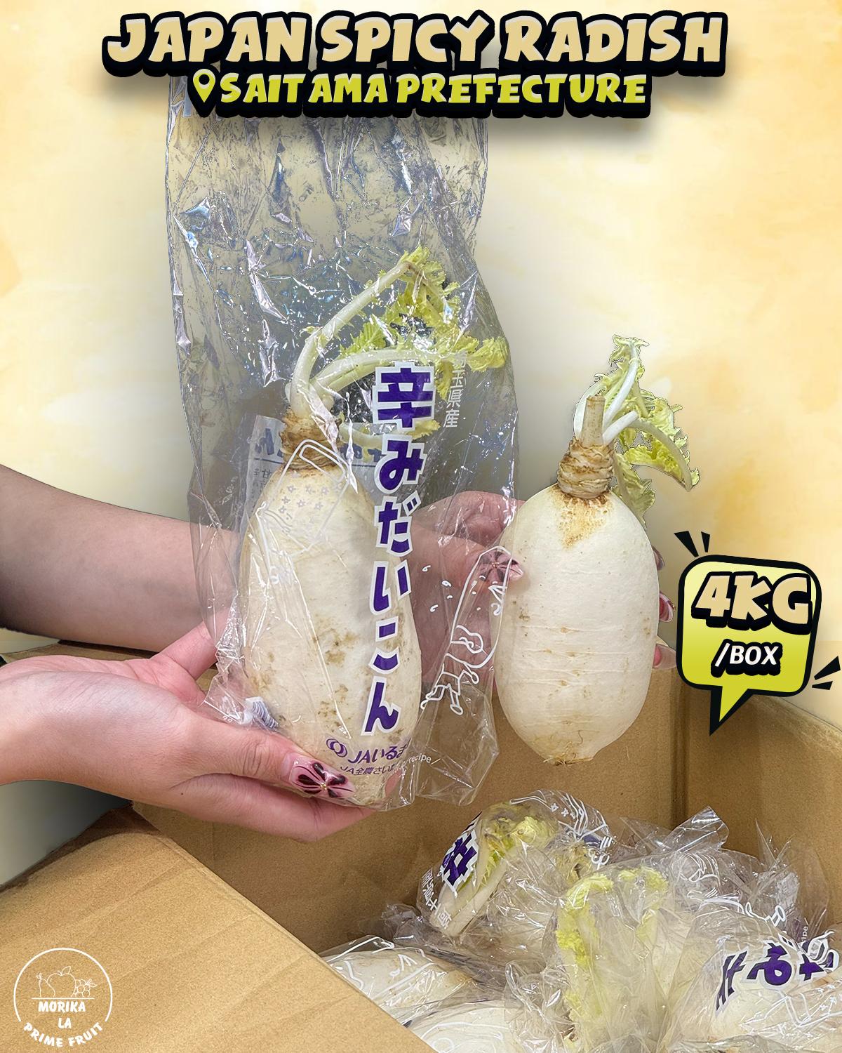 Japan Spicy Radish 