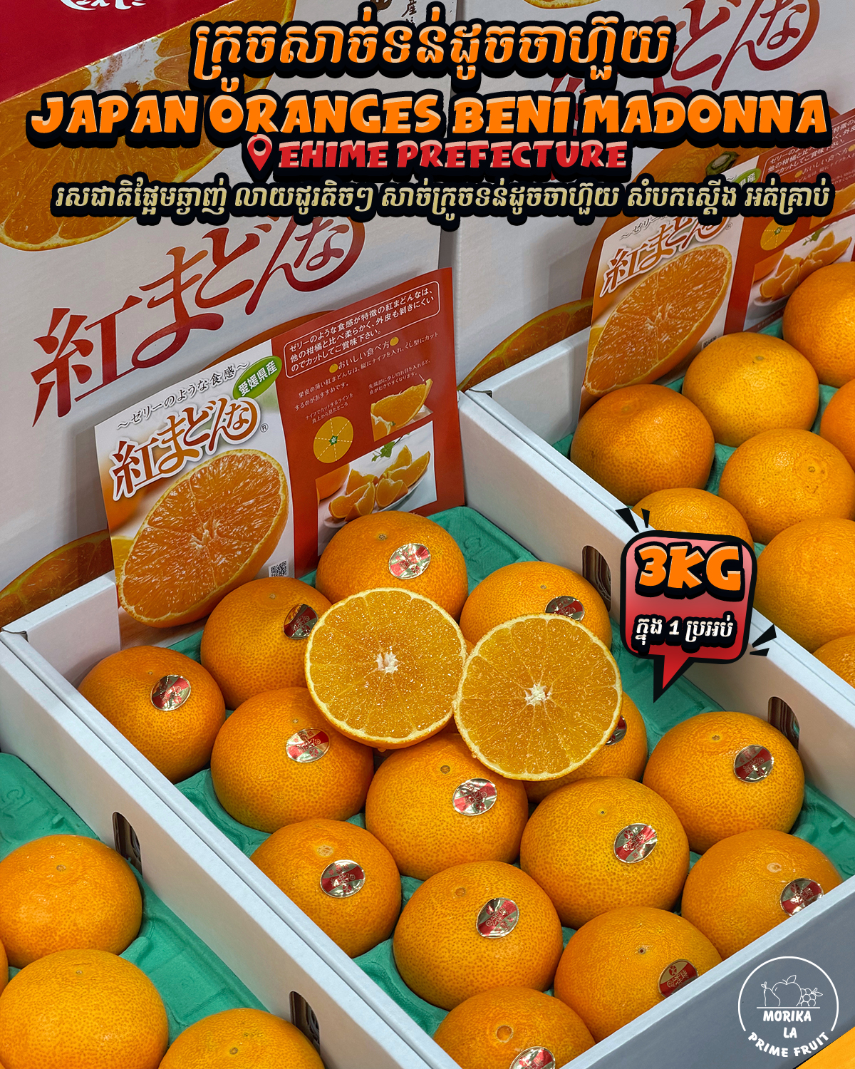 Japan Orange Beni Madonna 3kg 