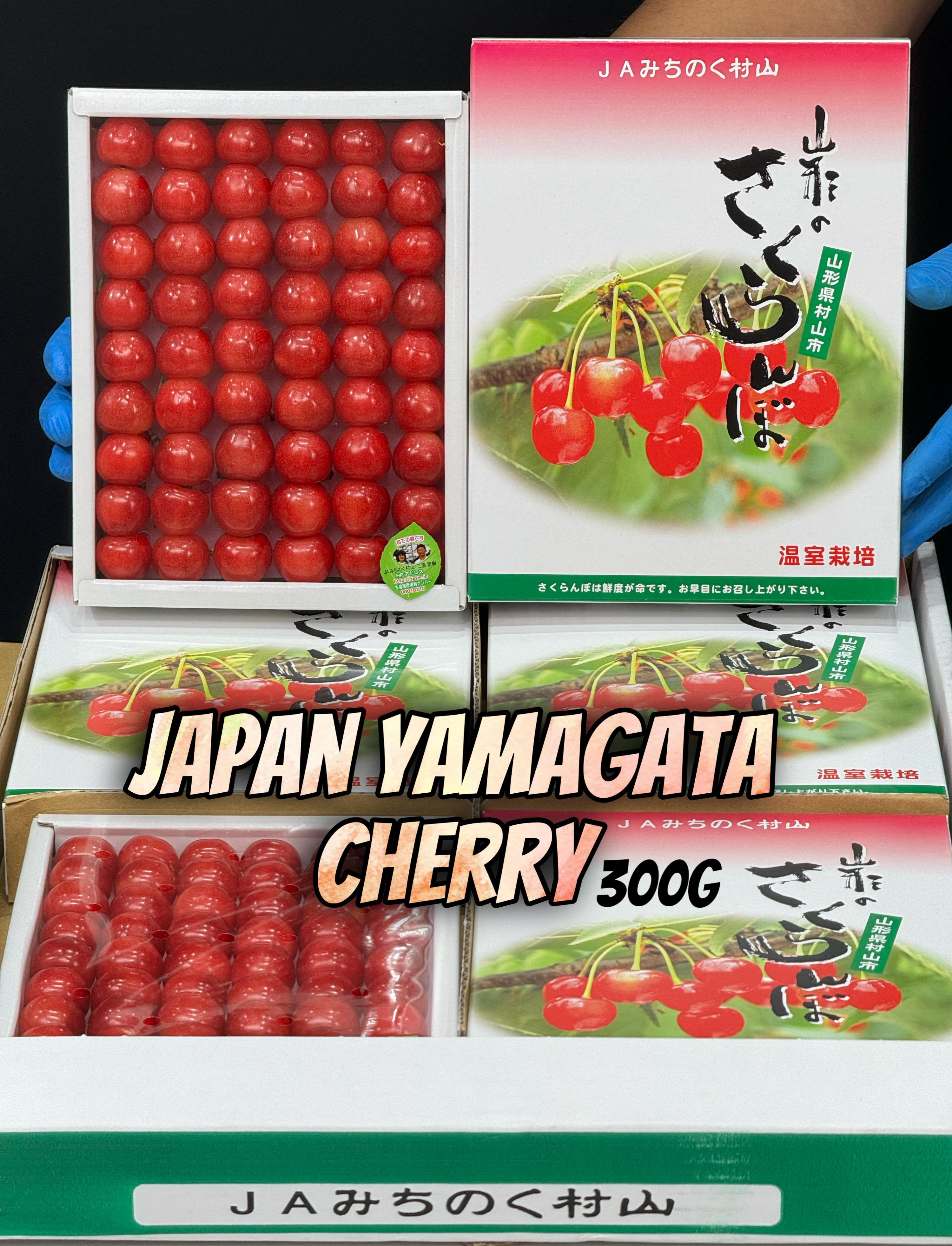 Japan Cherry Yamagata Gift Box (300g)