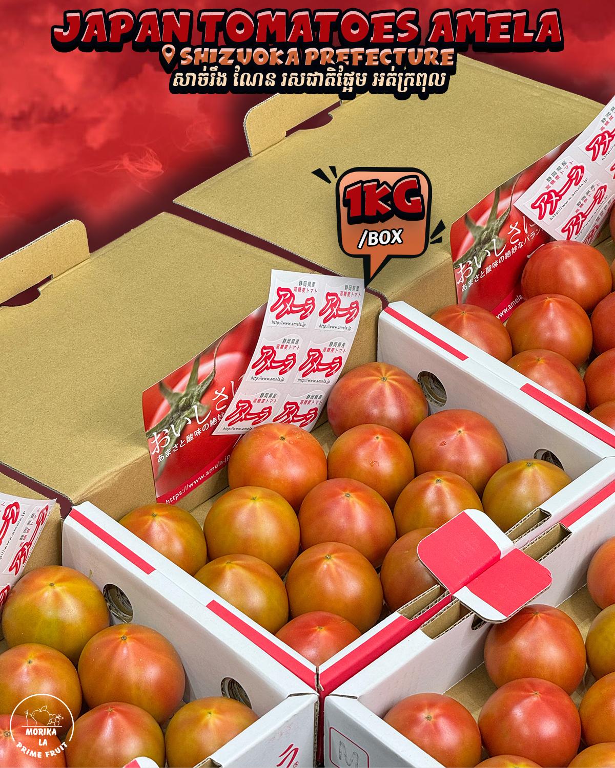 Japan Tomatoes Amela 🍅 