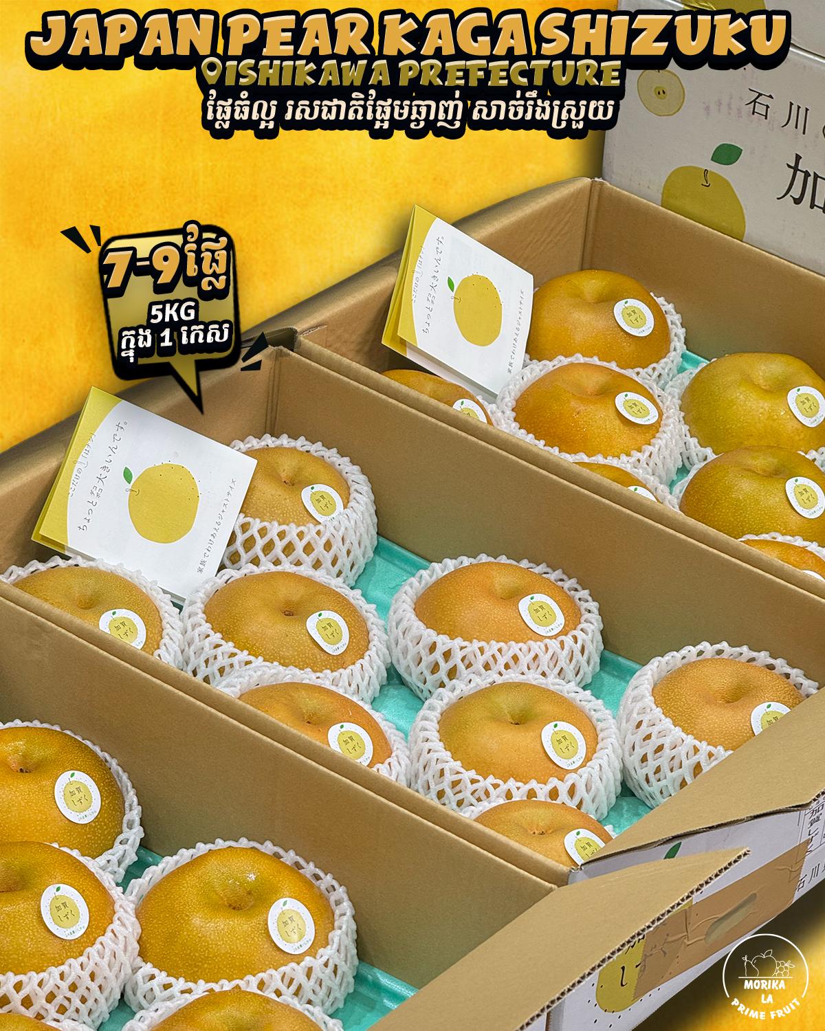 Japan Pear Kaga Shizuku 5kg 