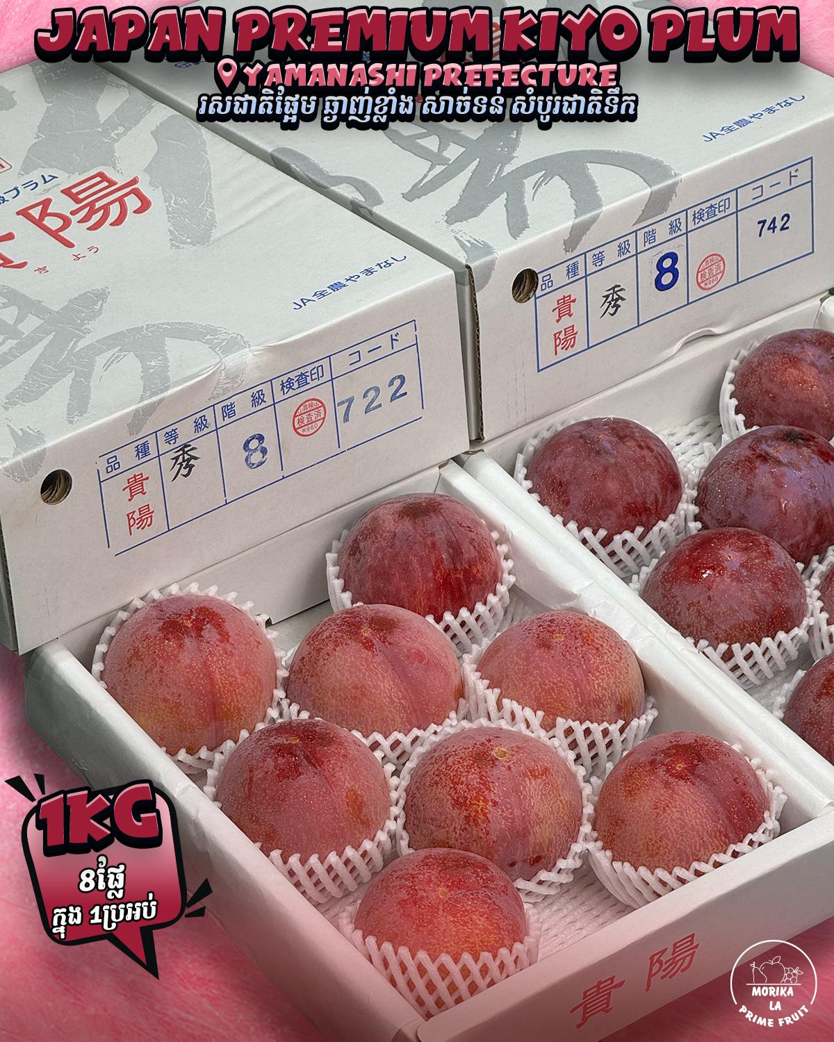Japan Plum Kiyo Gift Box 