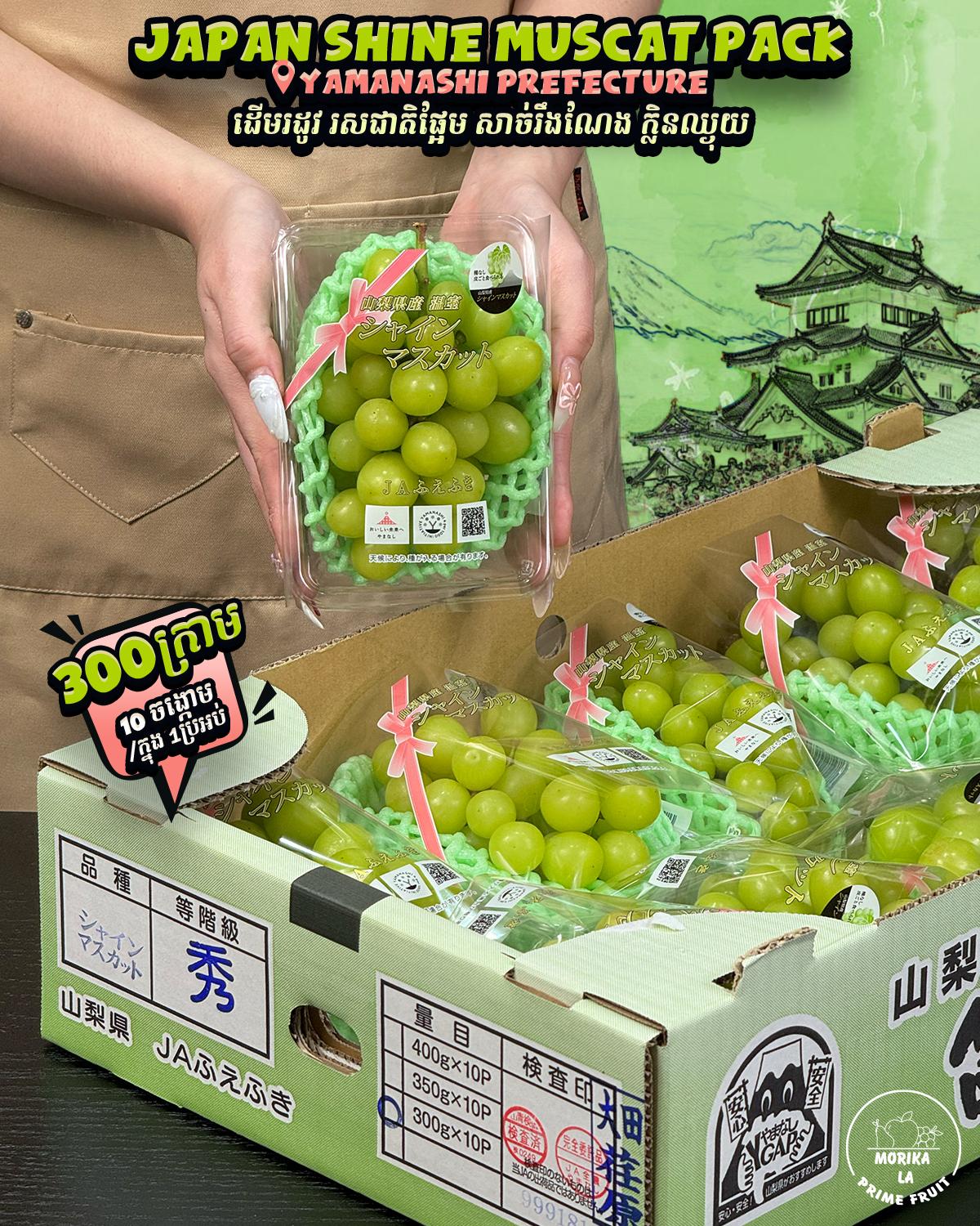 Japan Shine Muscat Yamanashi Pack 