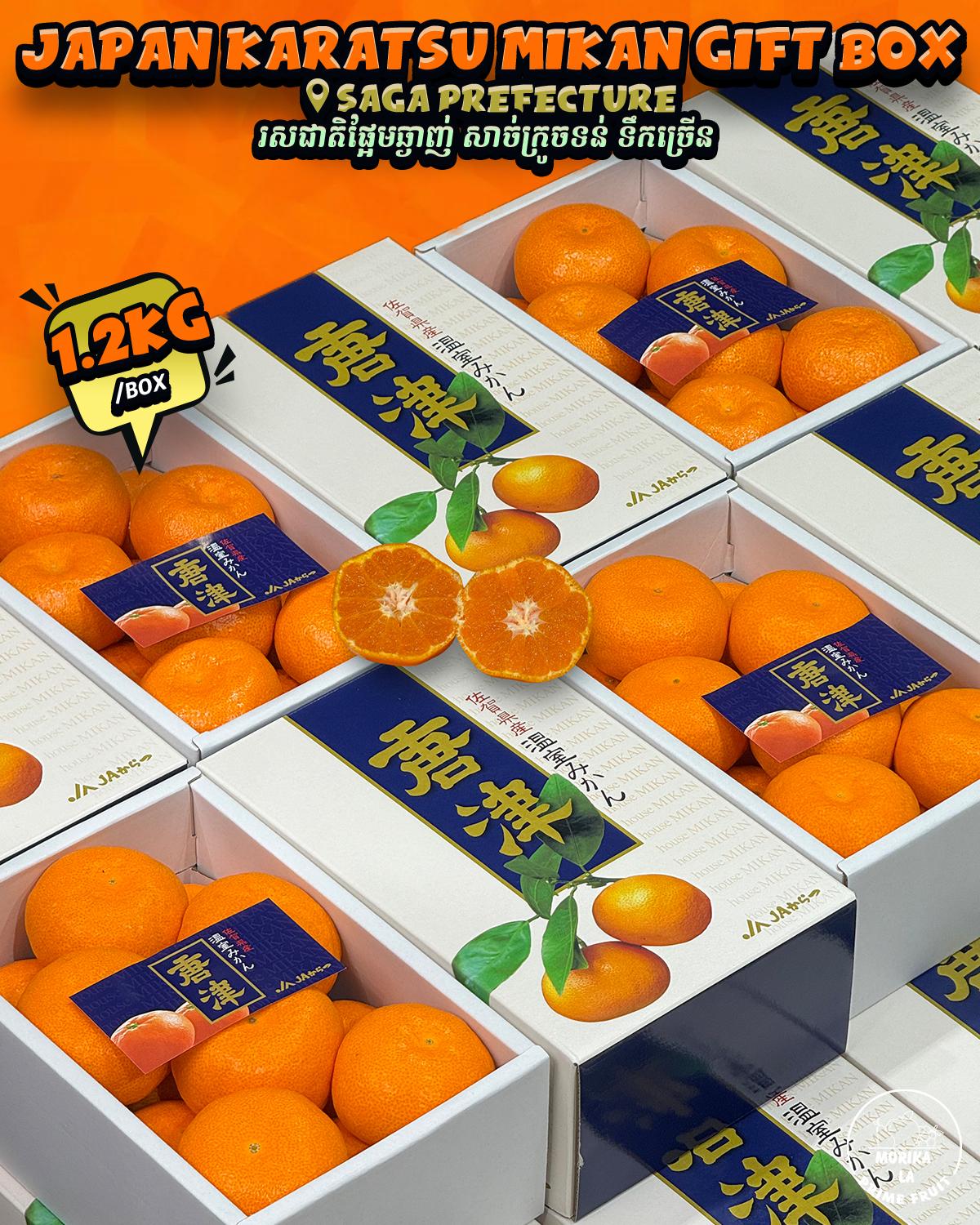 Japan Mikan Karatsu Gift Box 1.2kg 