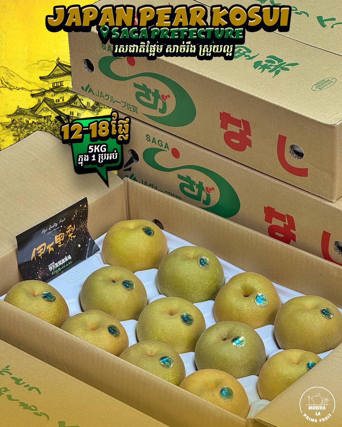 Japan Pear Kosui 🍐 