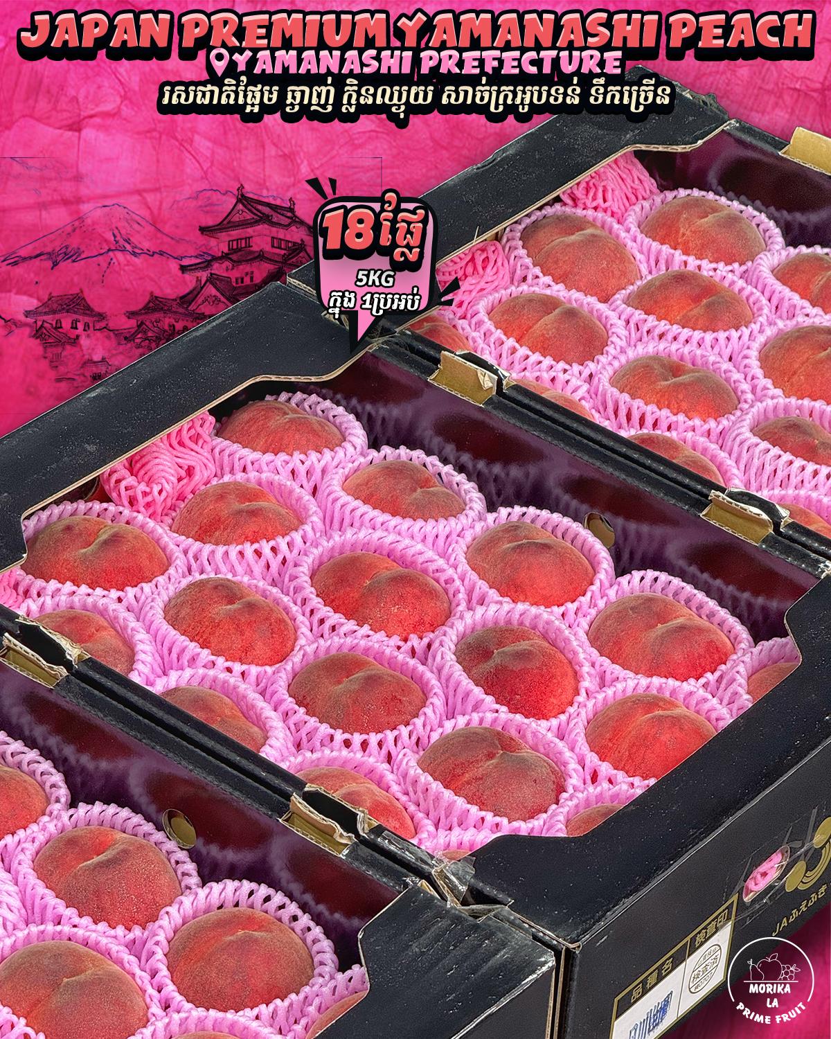 Japan Premium Yamanashi Peach #18 