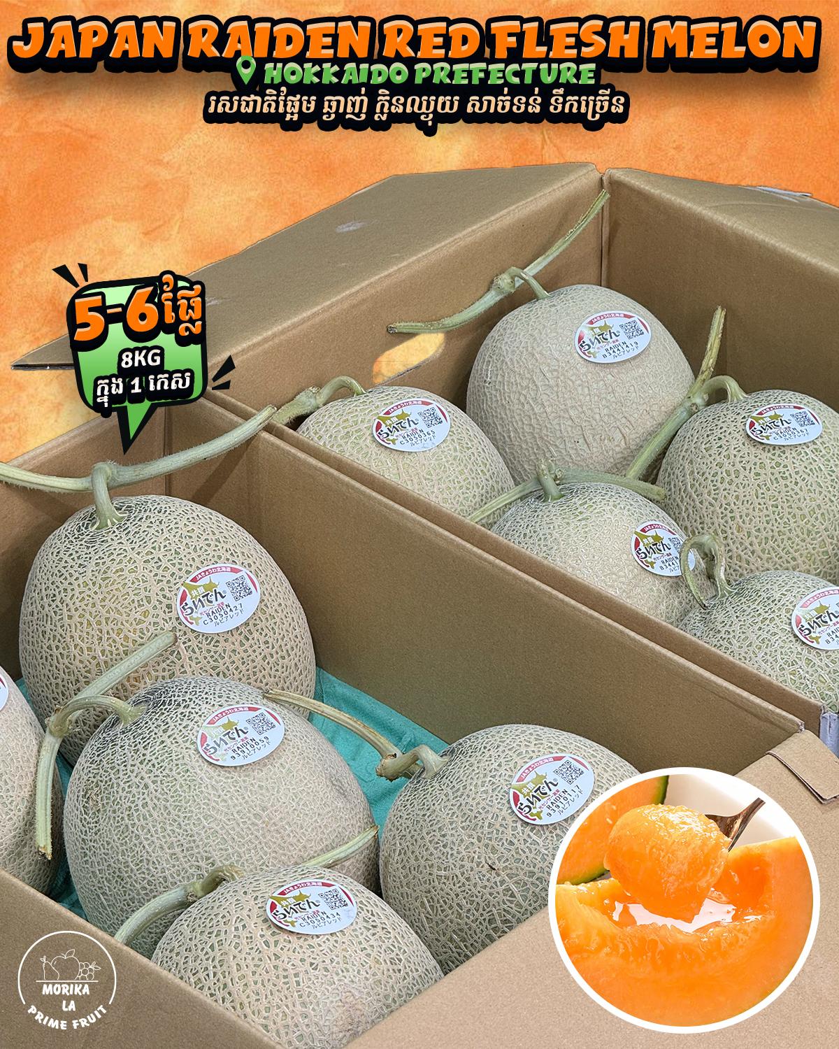 Japan Raiden Melon #6 🍈 