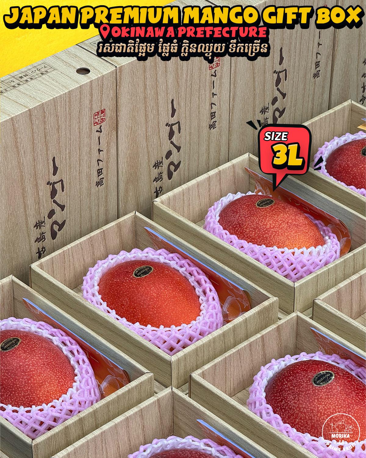 Japan Okinawa Mango 3L 1pc 🥭 