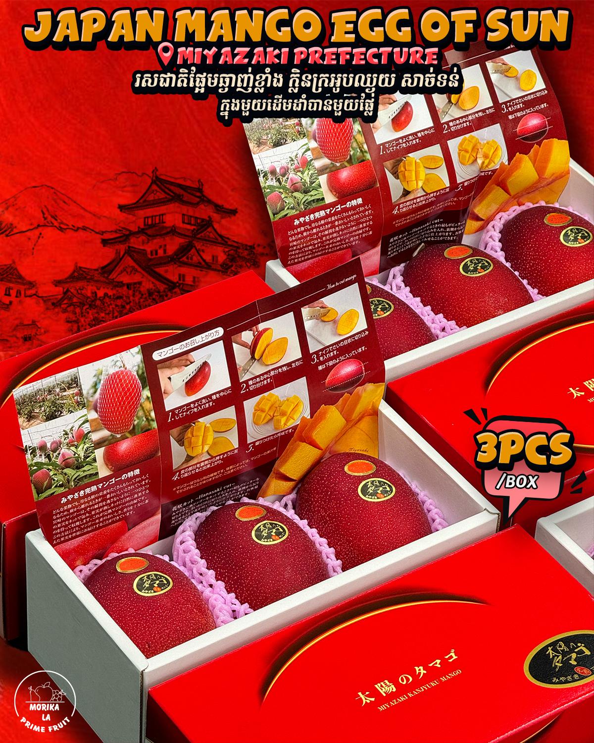 Japan Mango Egg Of Sun Gift Box 🥭 