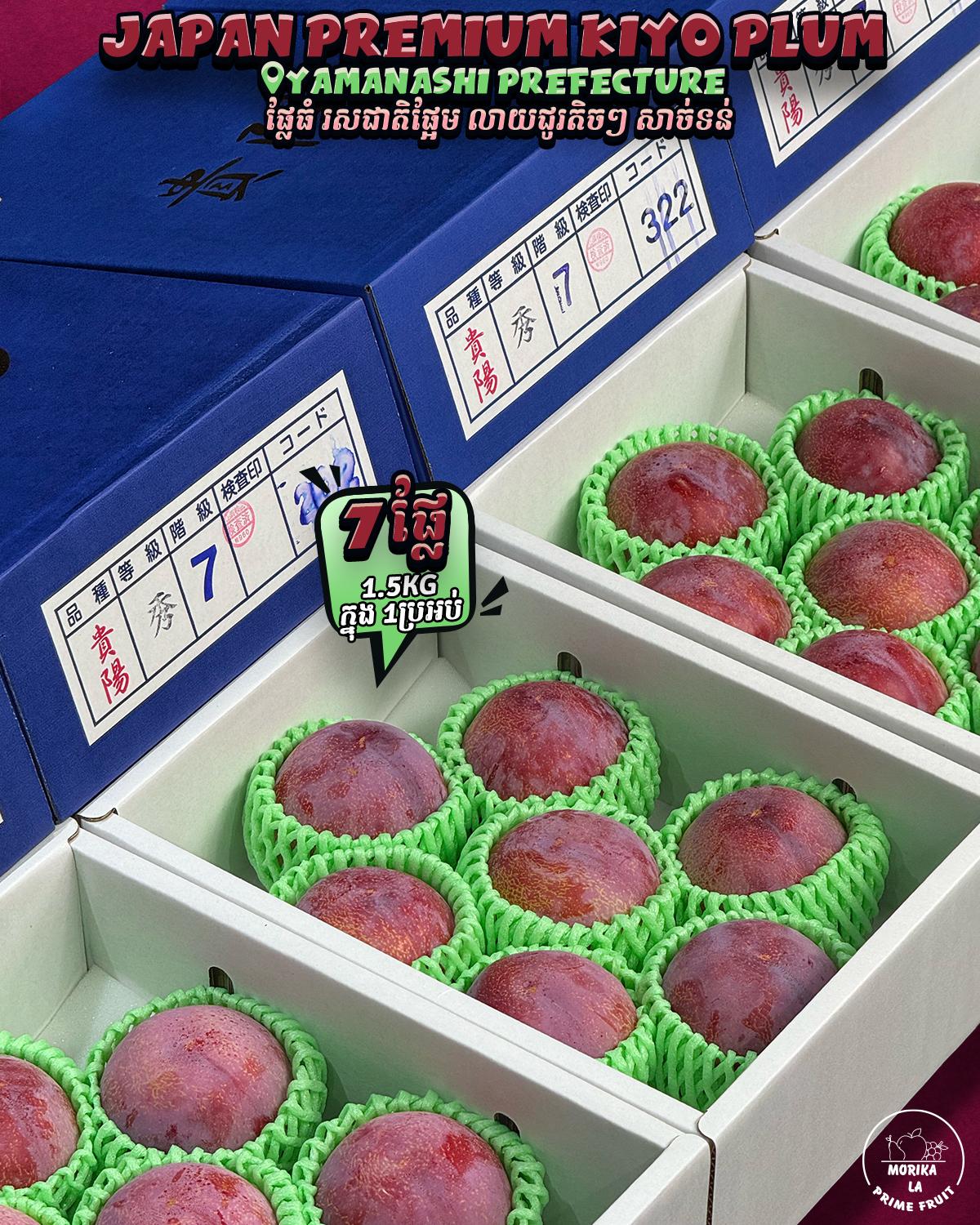 Japan Plum Kiyo Gift Box 