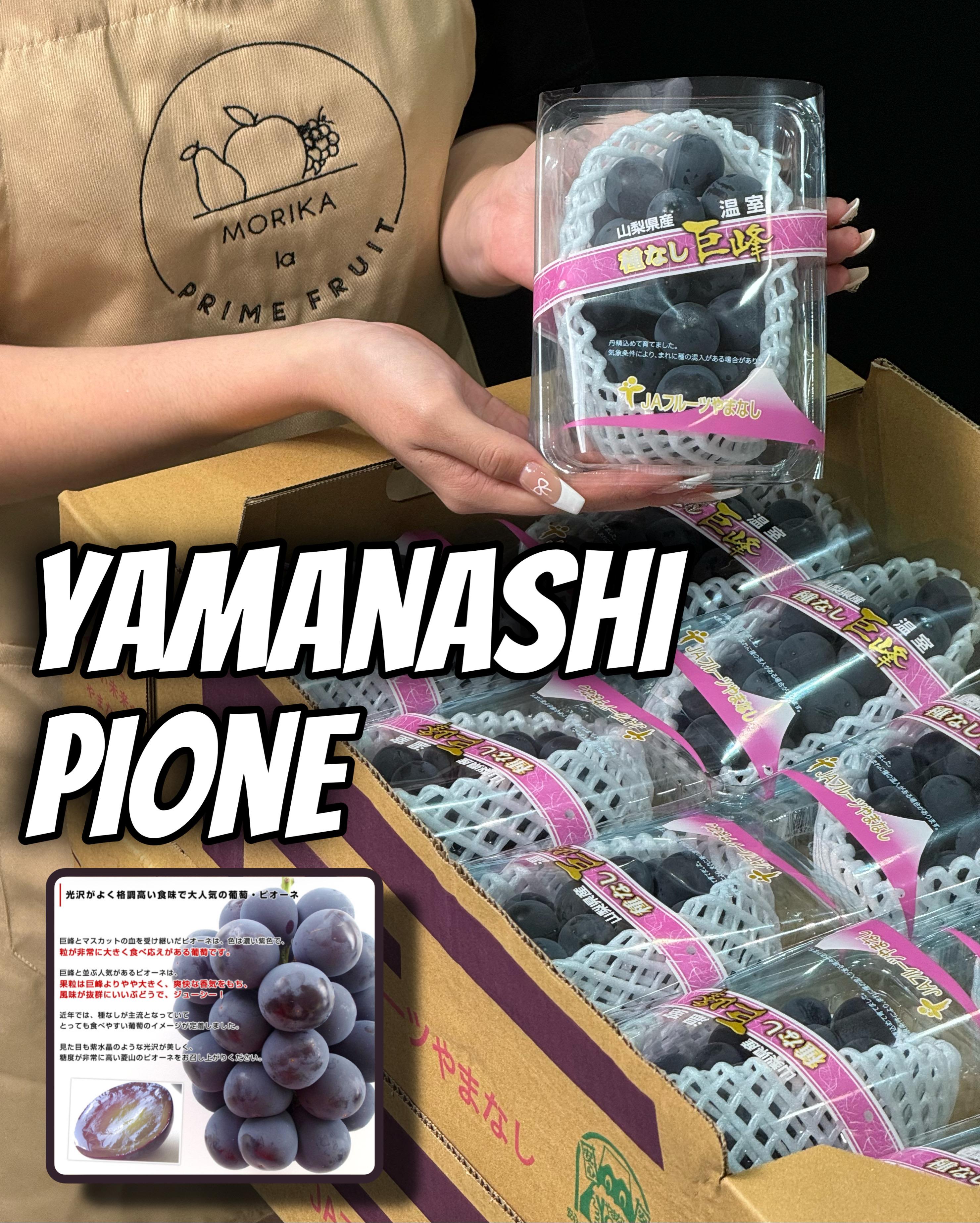 Japan Yamanashi Pione